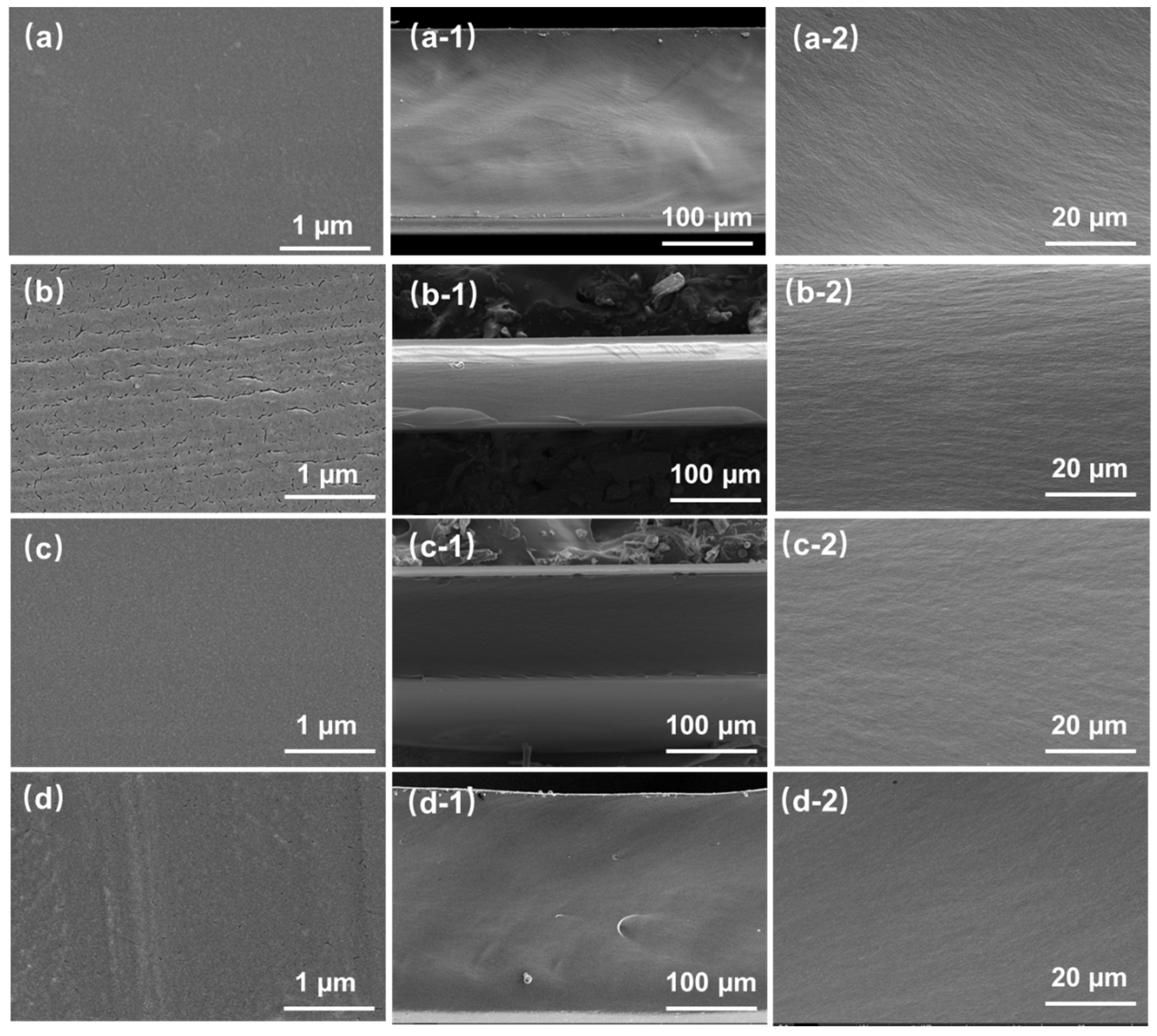 Polymers 16 00984 g003