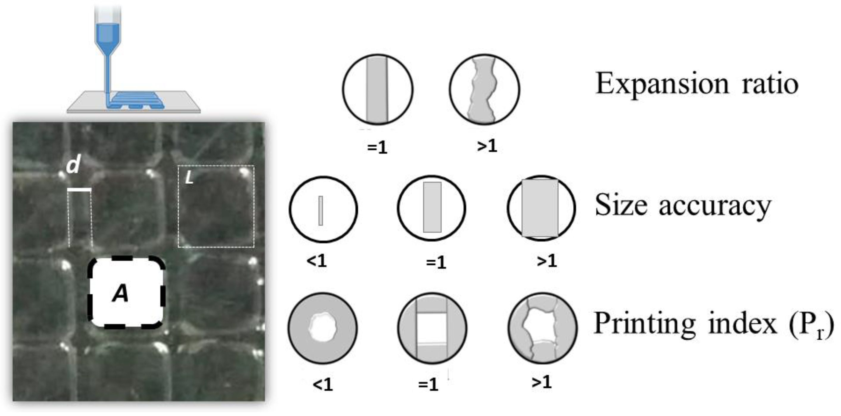 Polymers 16 00986 g001