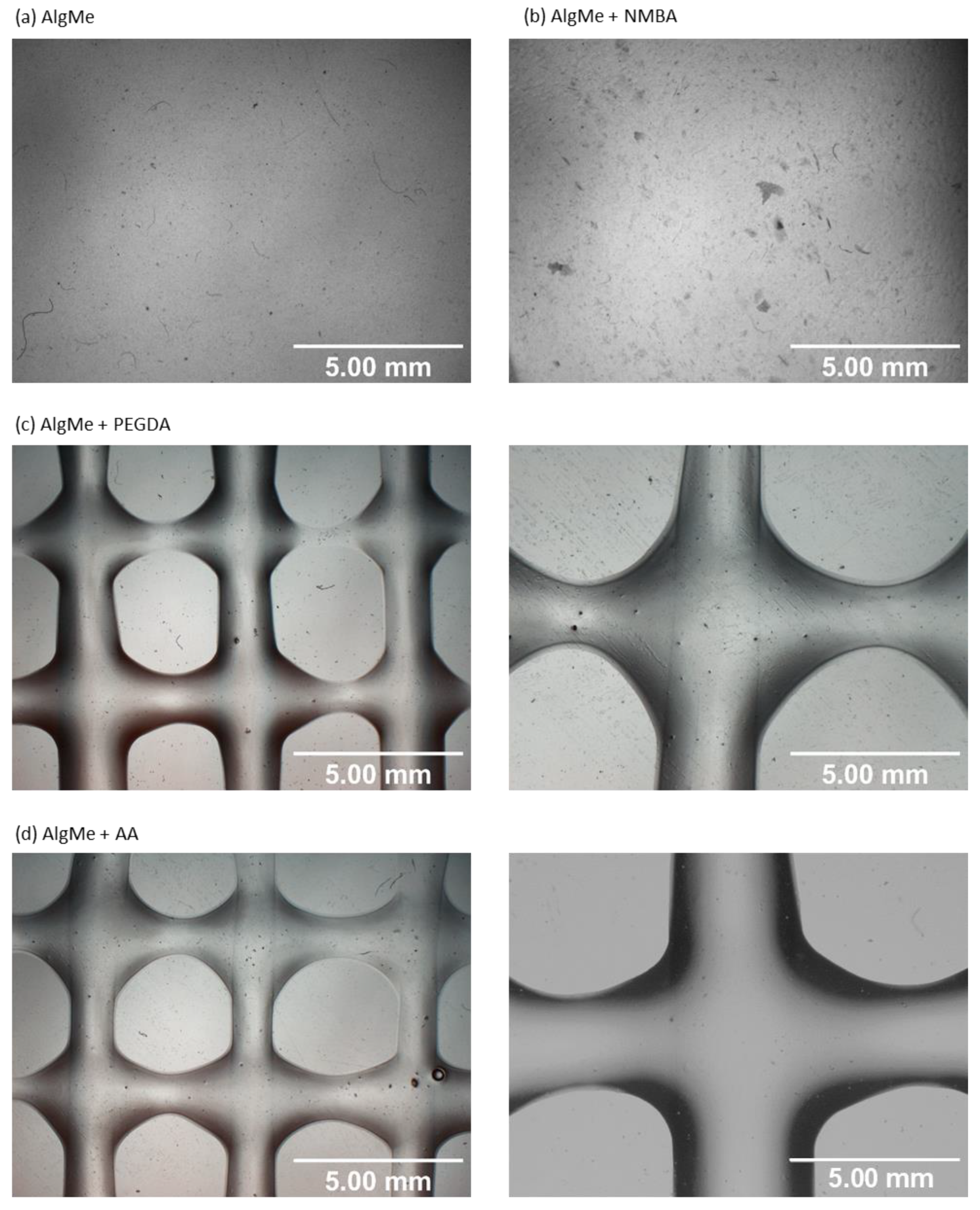 Polymers 16 00986 g006