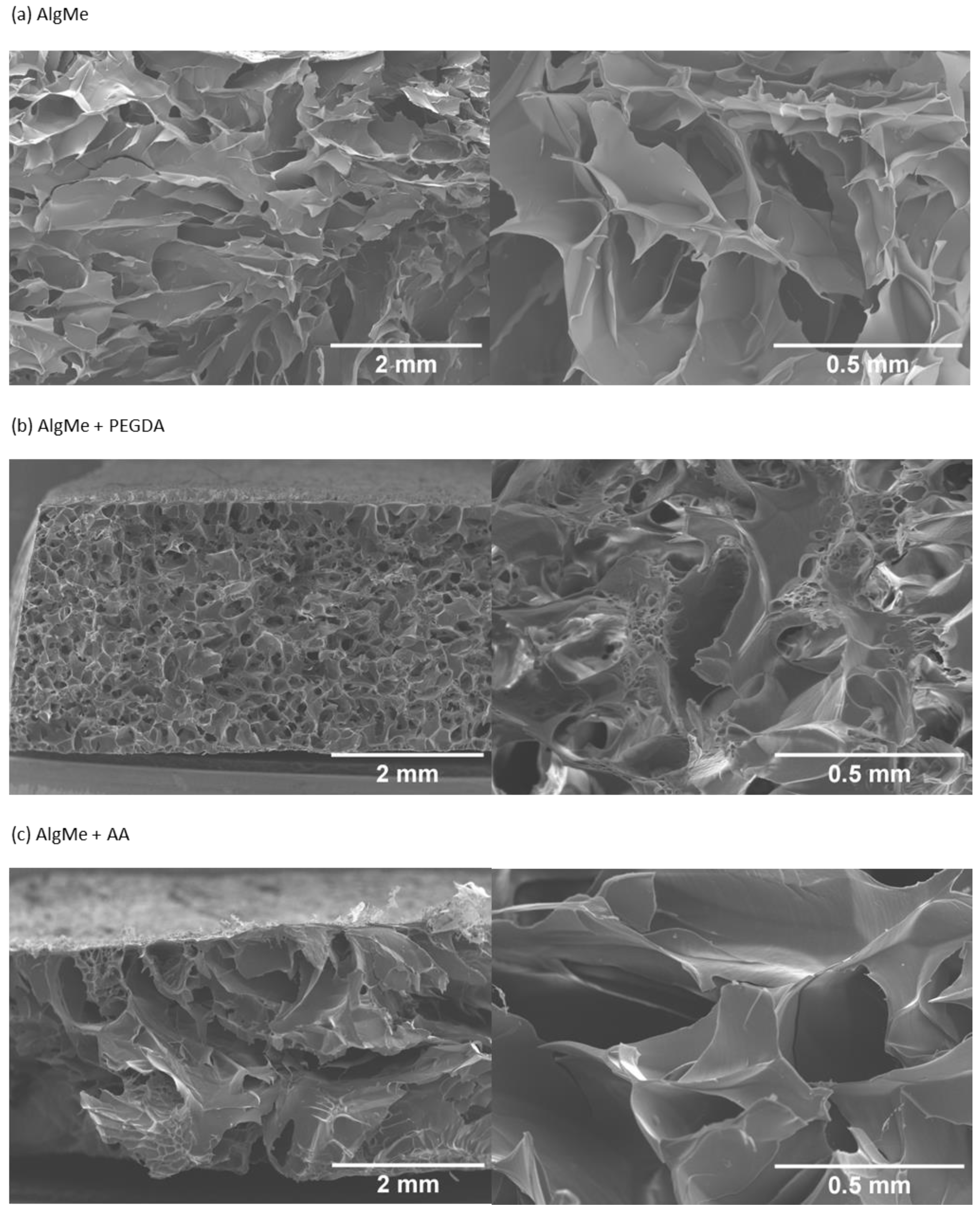 Polymers 16 00986 g011
