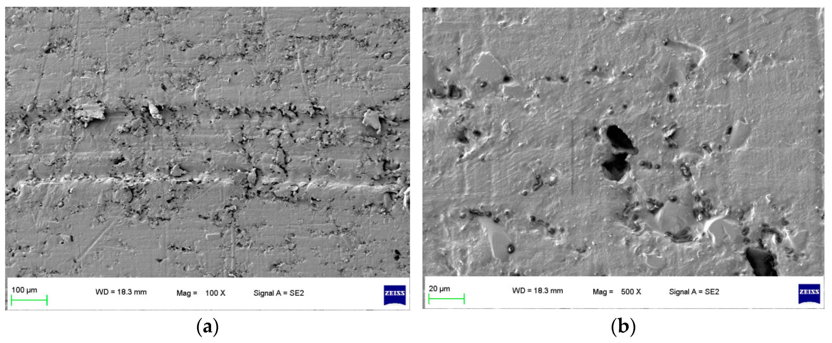 Polymers 16 01000 g001