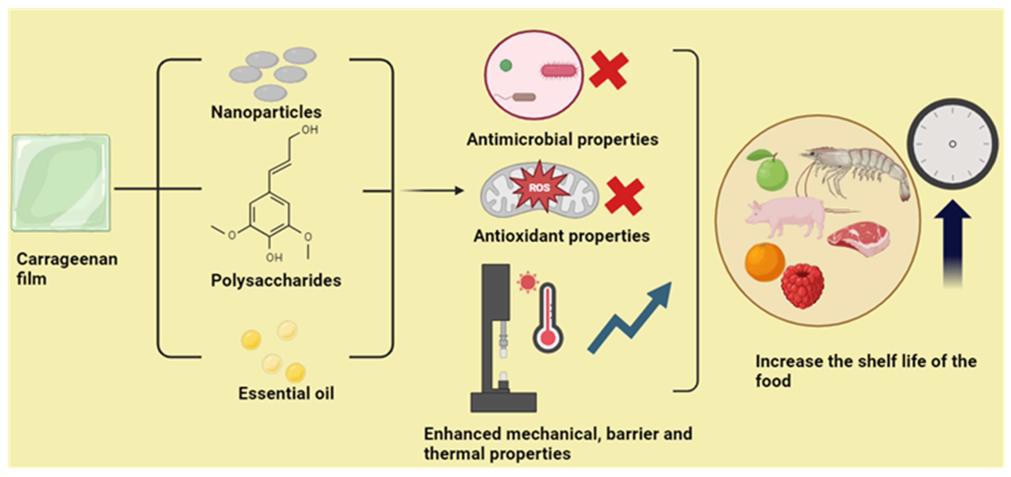 Polymers 16 01001 g002