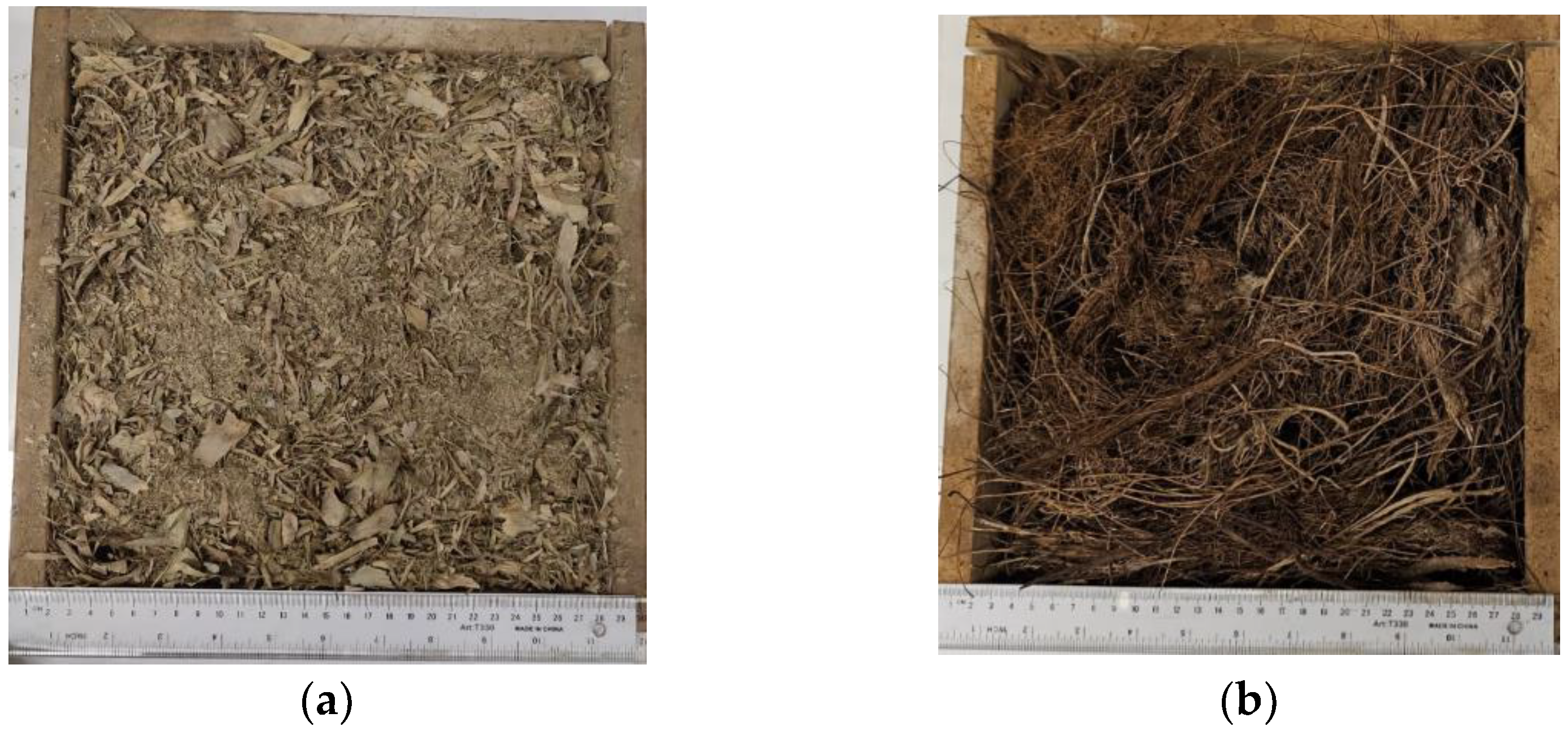 Polymers 16 01002 g003