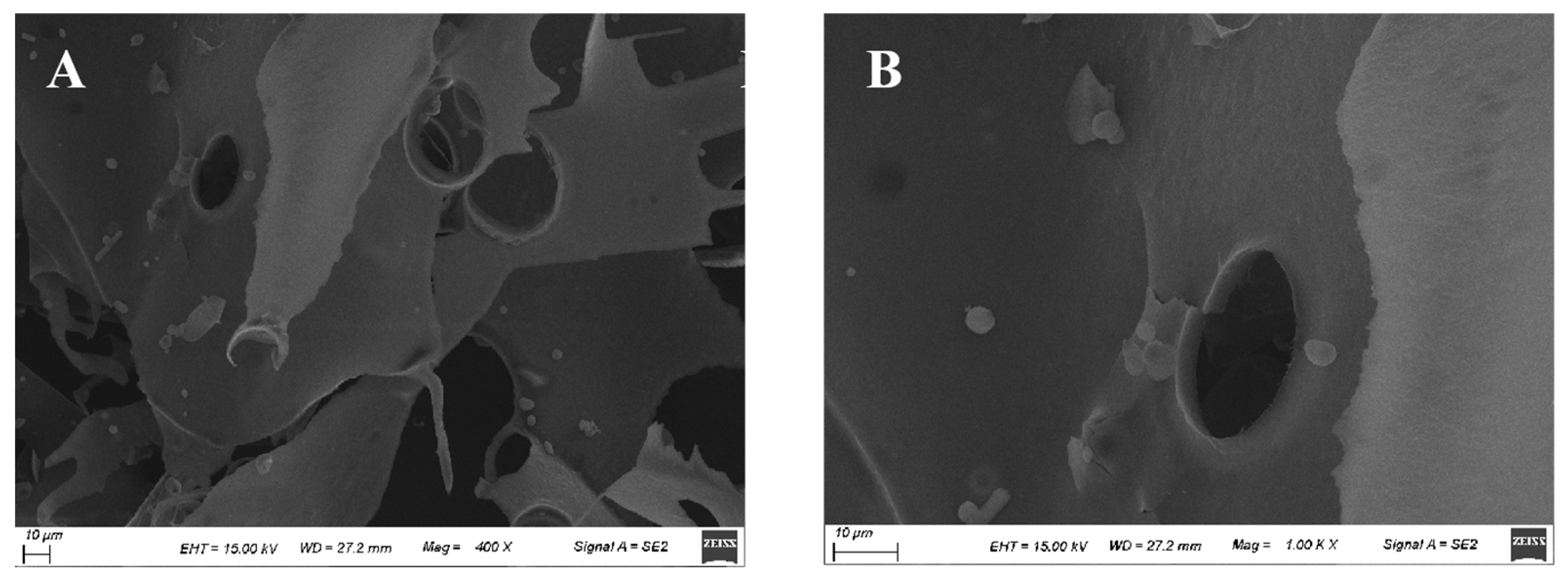 Polymers 16 01004 g004