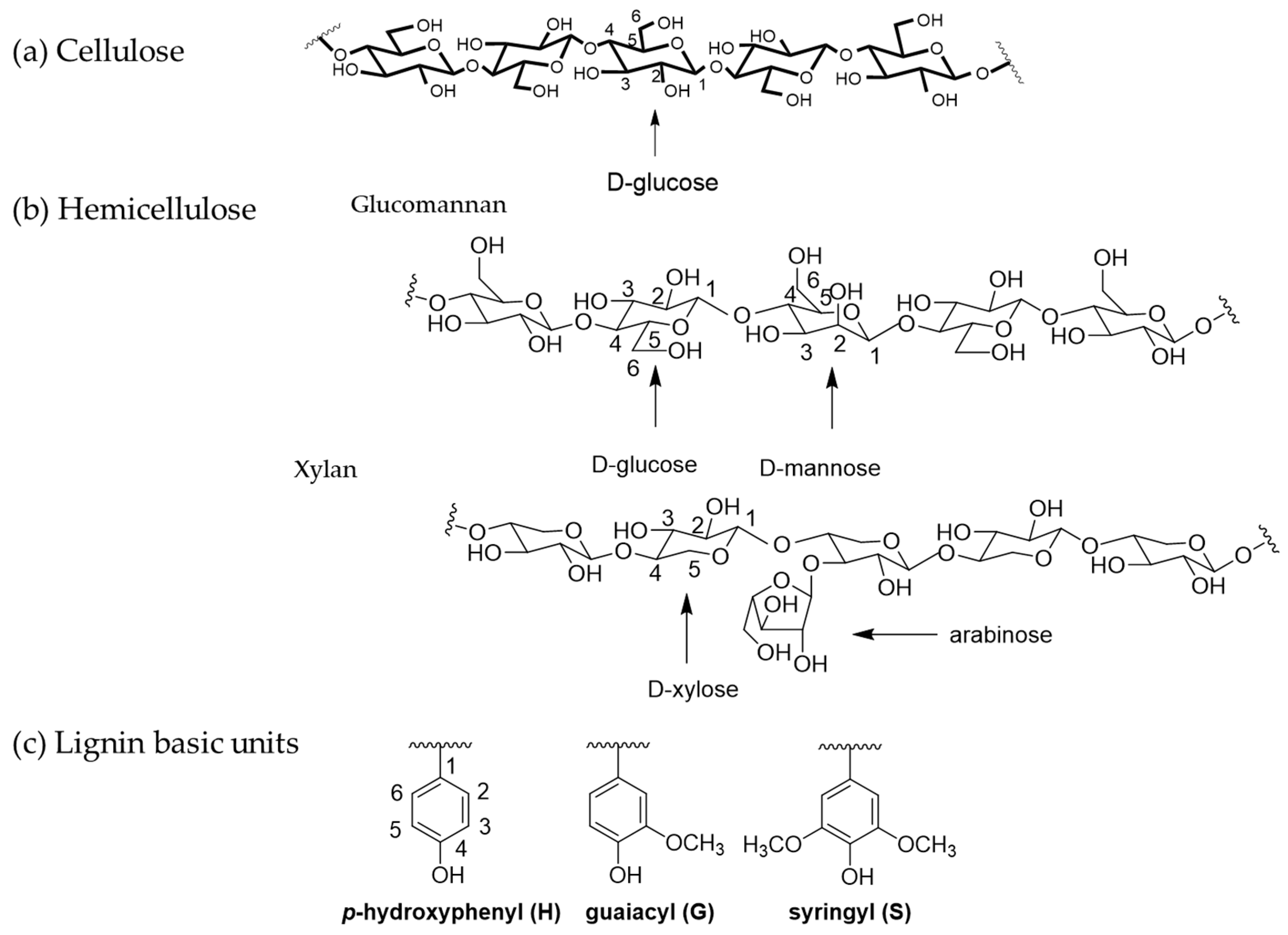 Polymers 16 01010 g001