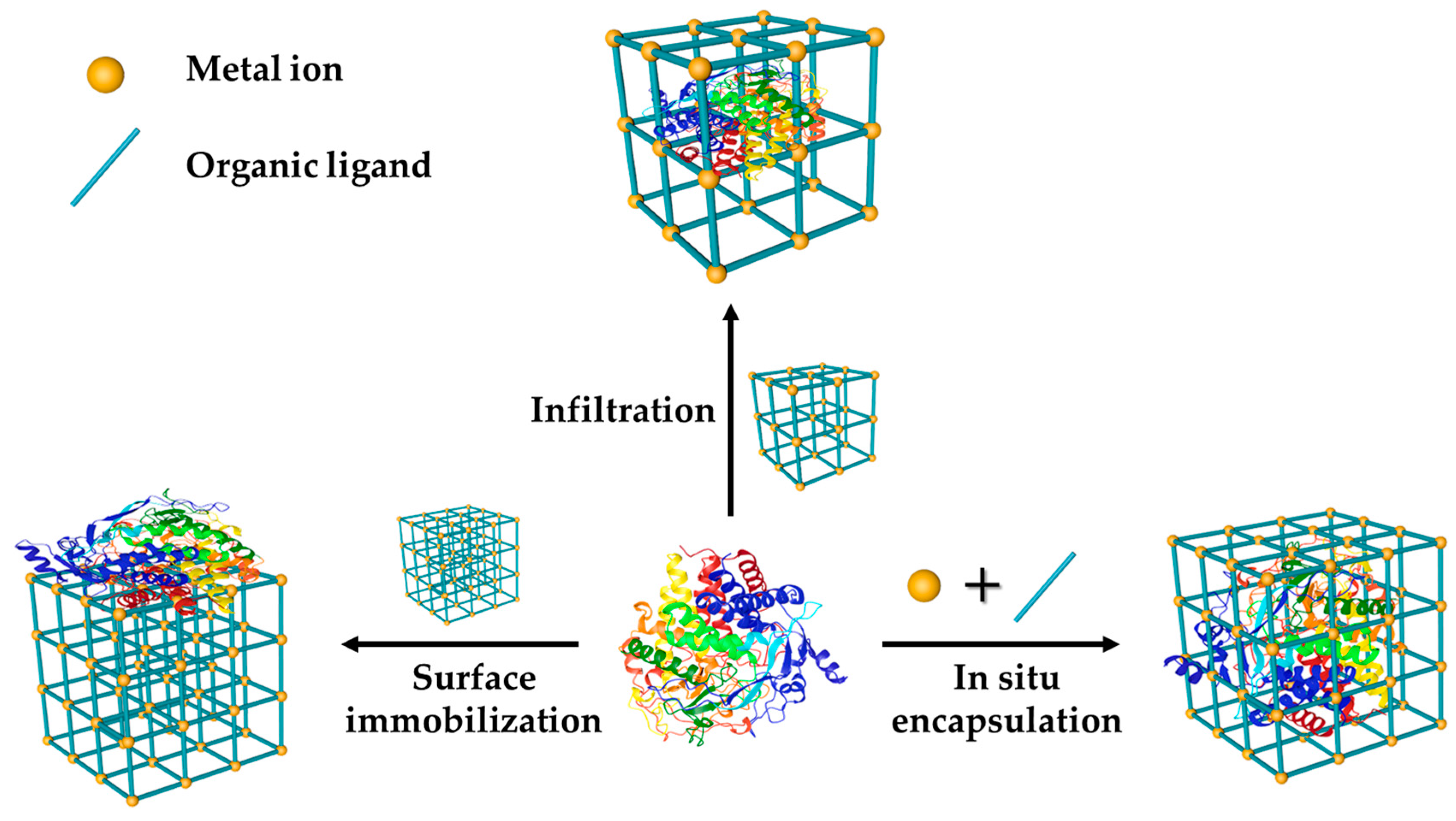 Polymers 16 01010 g004