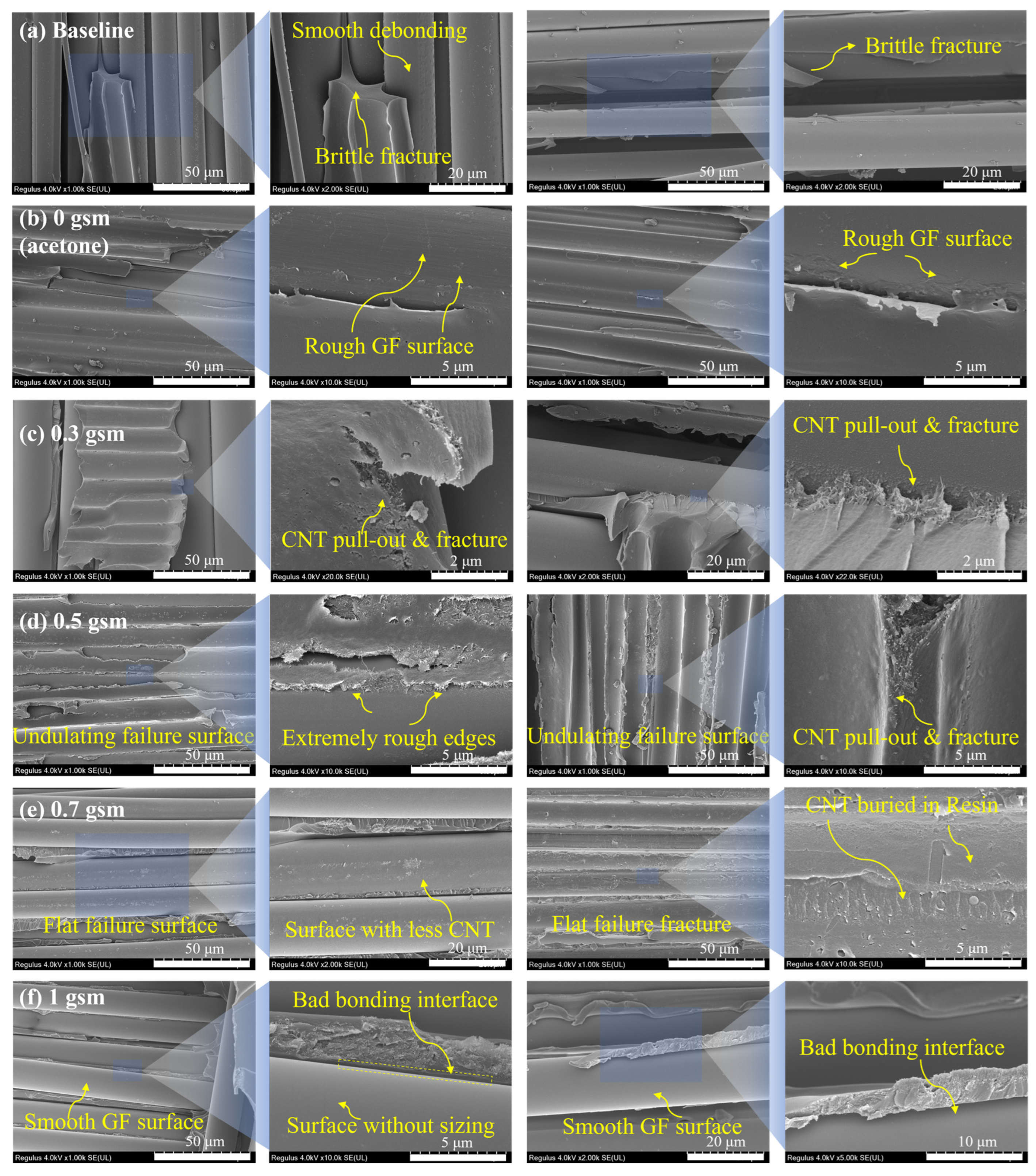 Polymers 16 01011 g008