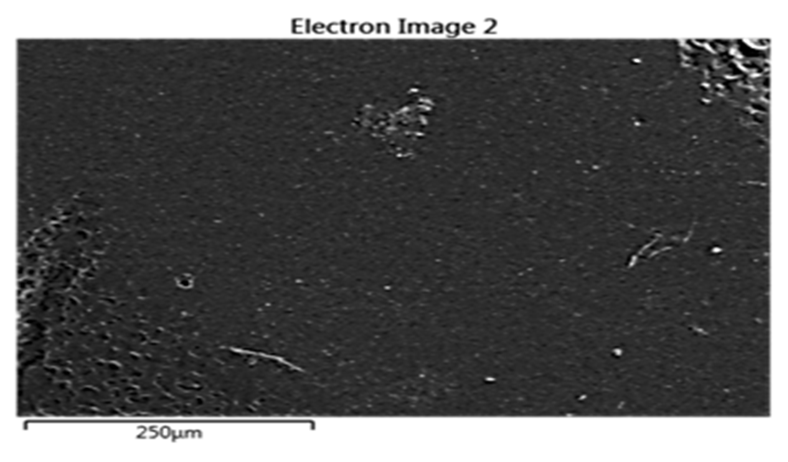 Polymers 16 01020 g008a