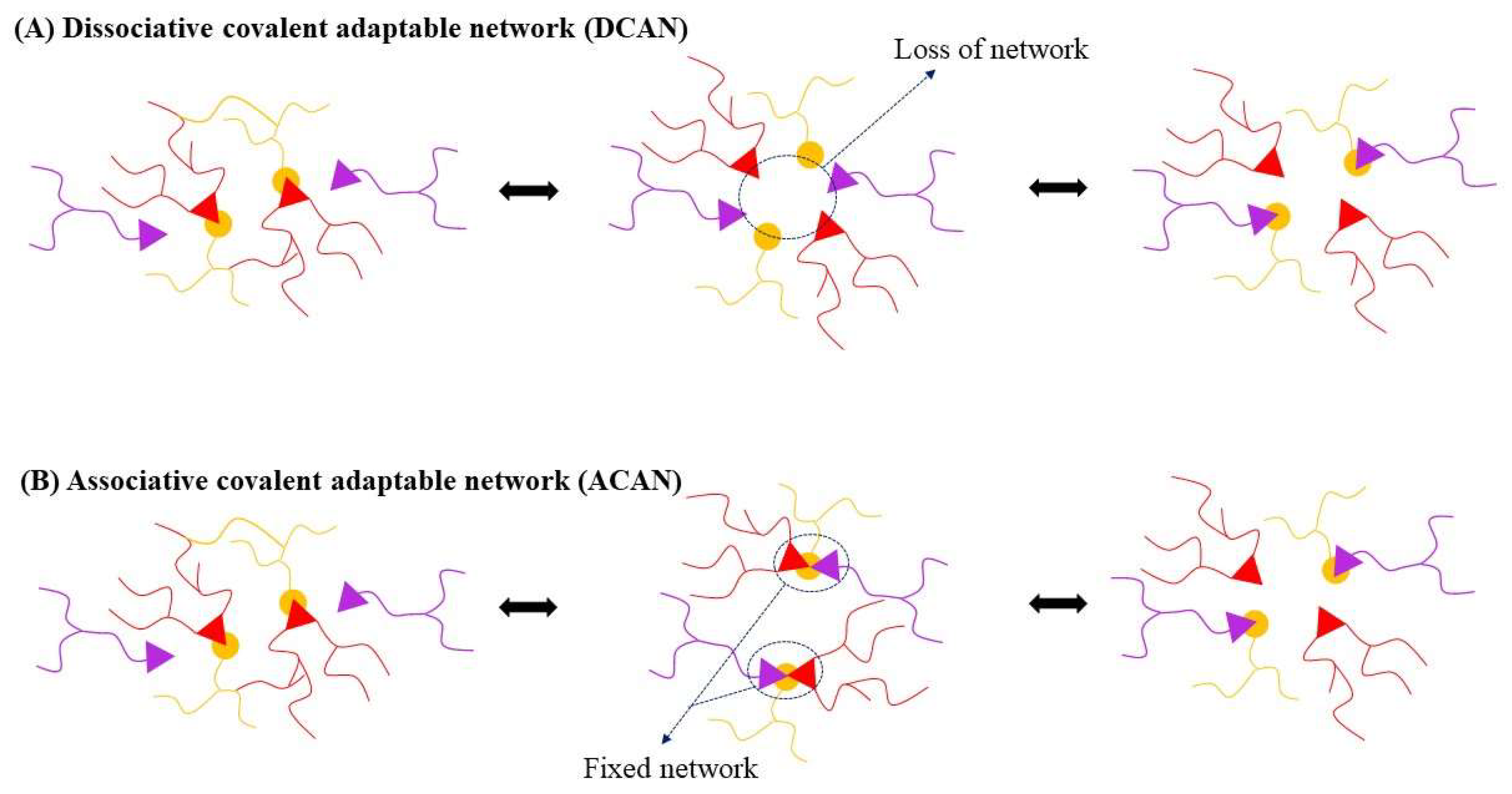 Polymers 16 01025 g001