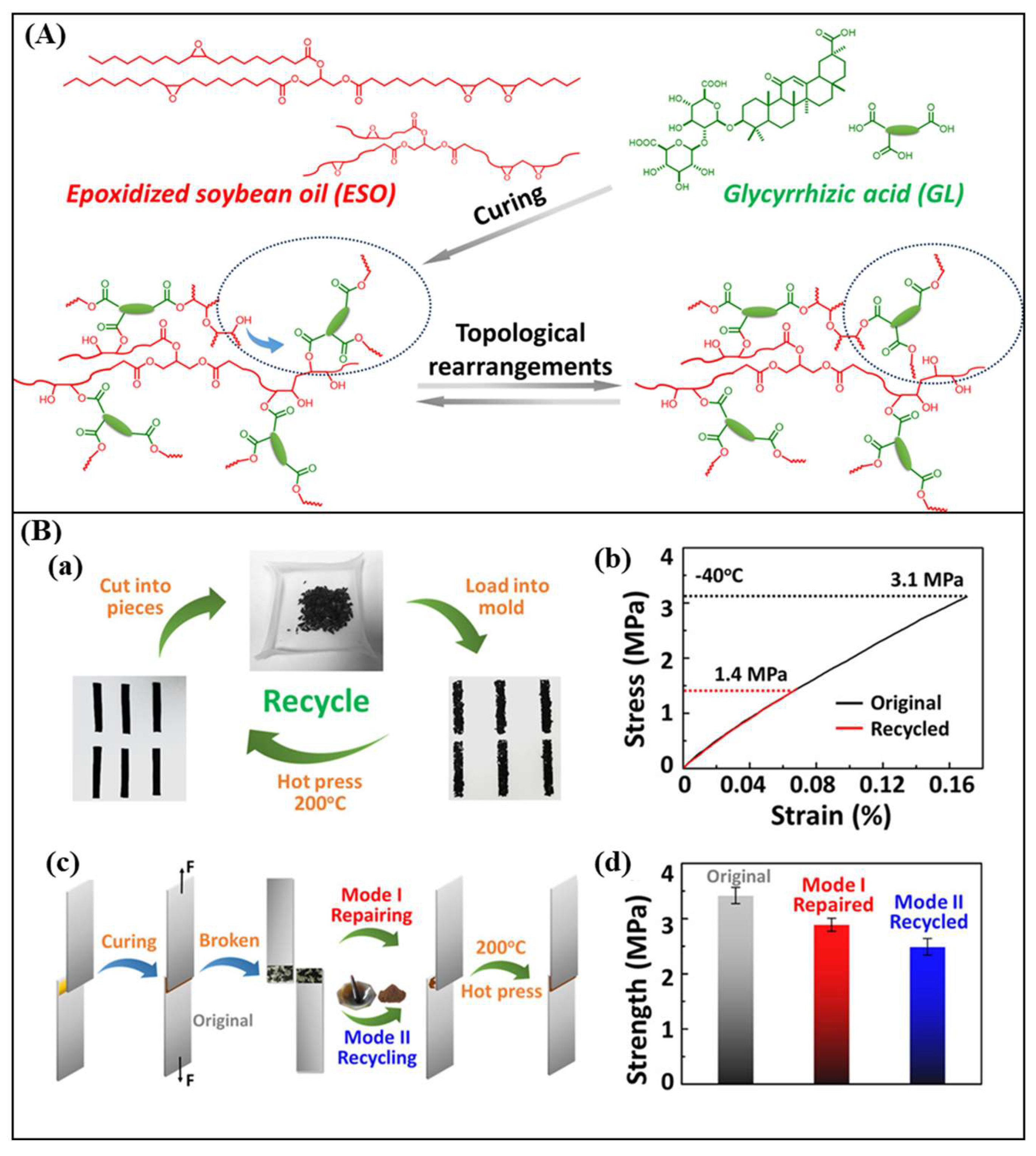 Polymers 16 01025 g004