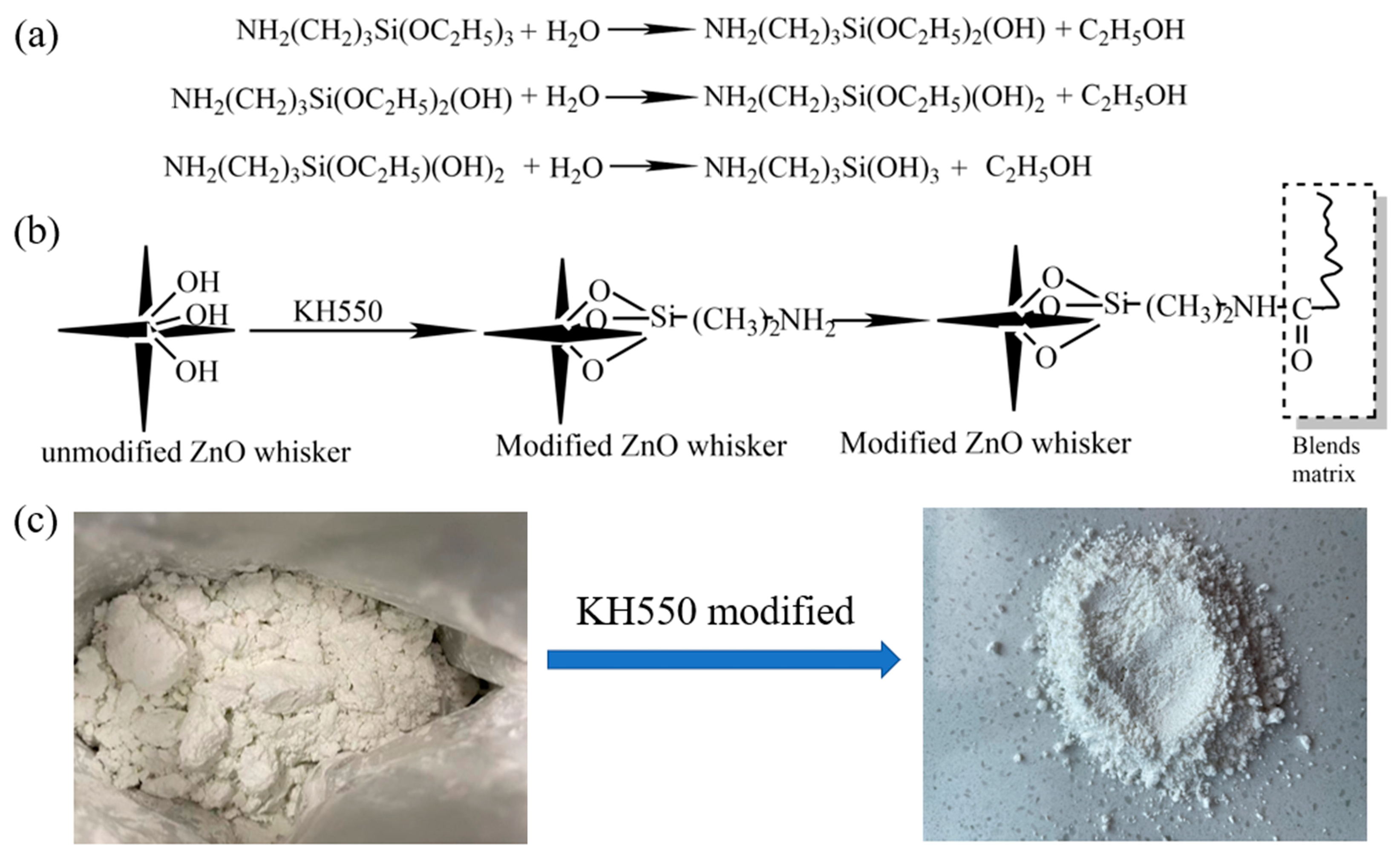 Polymers 16 01039 g002