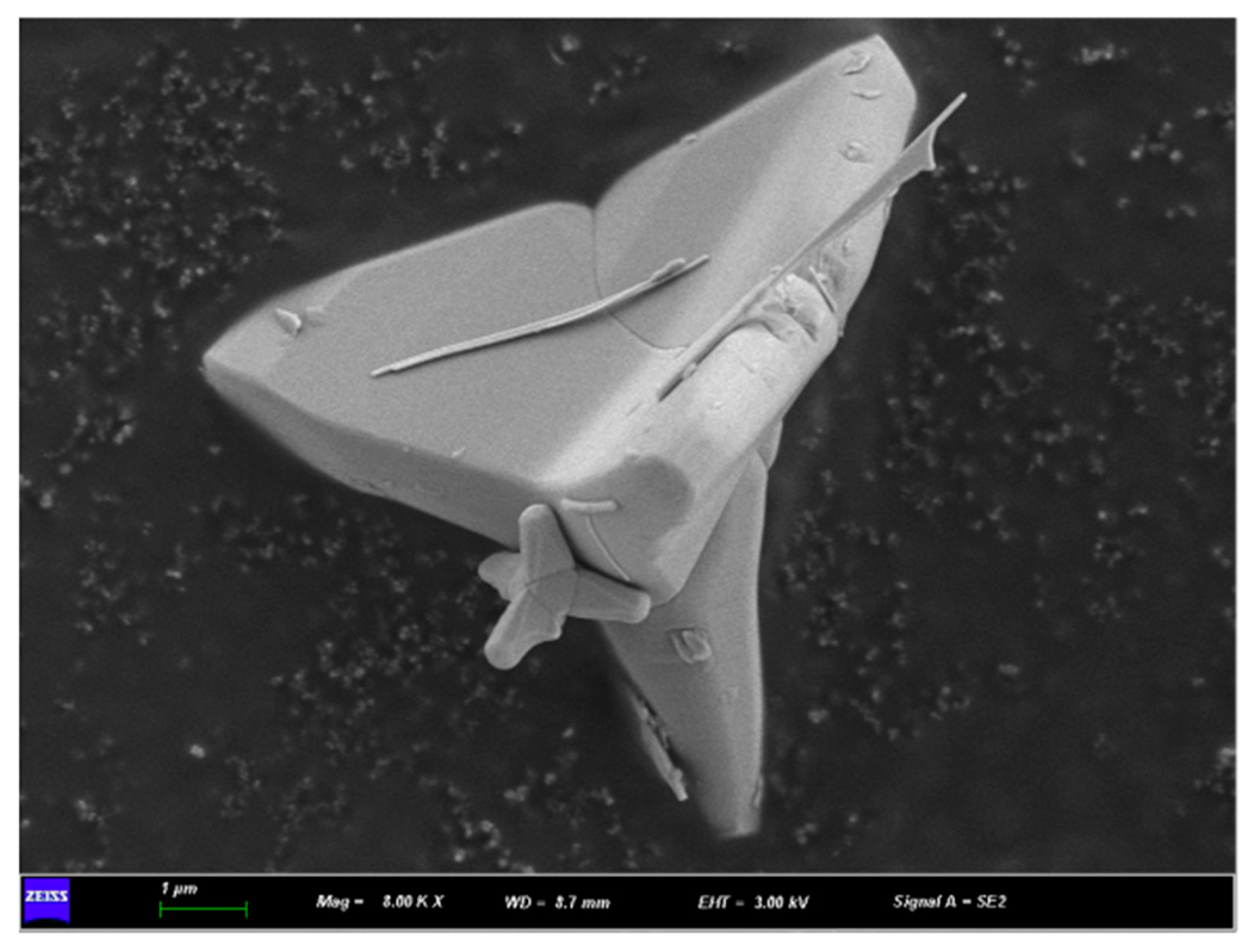 Polymers 16 01039 g003