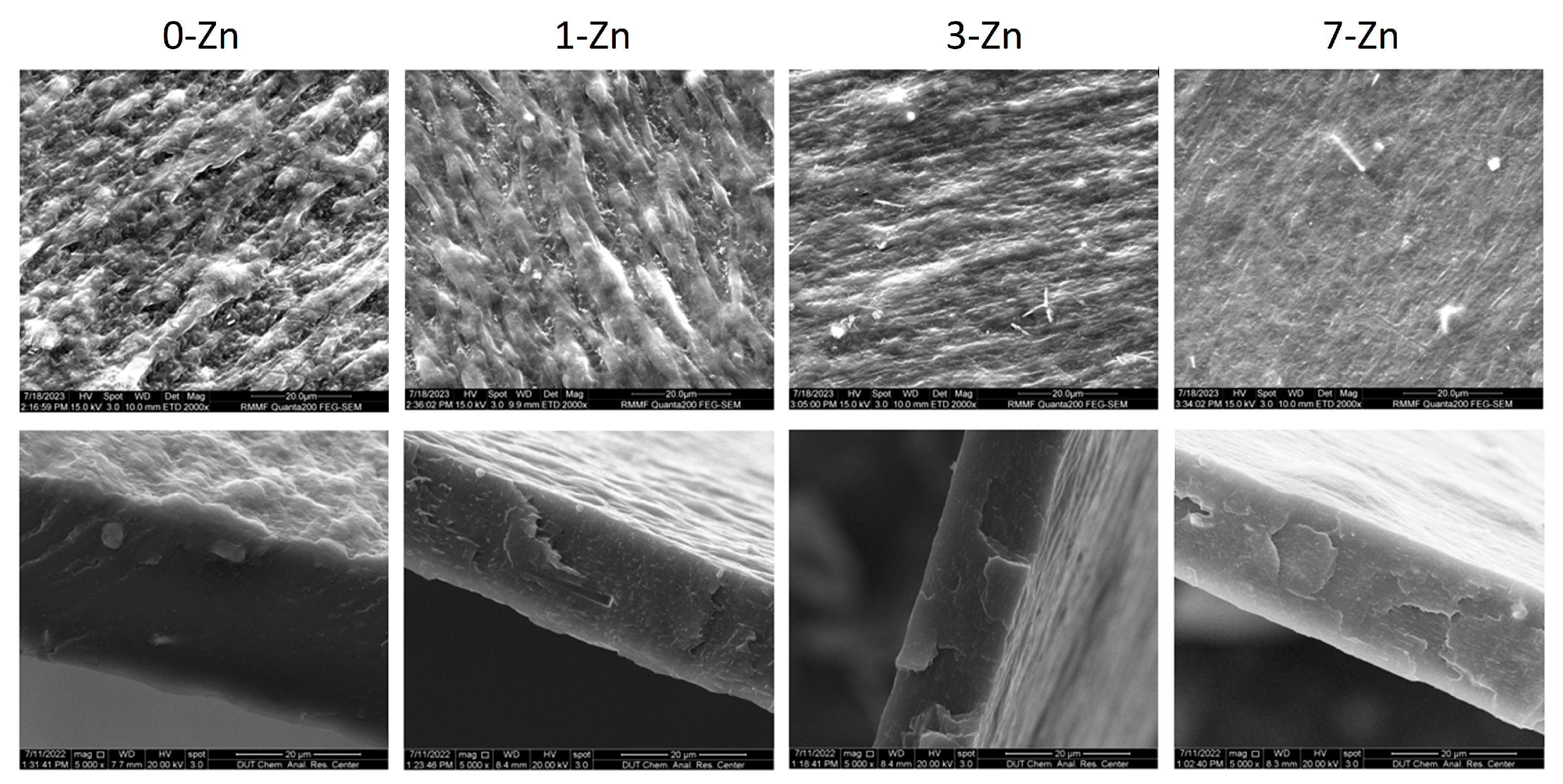 Polymers 16 01039 g006