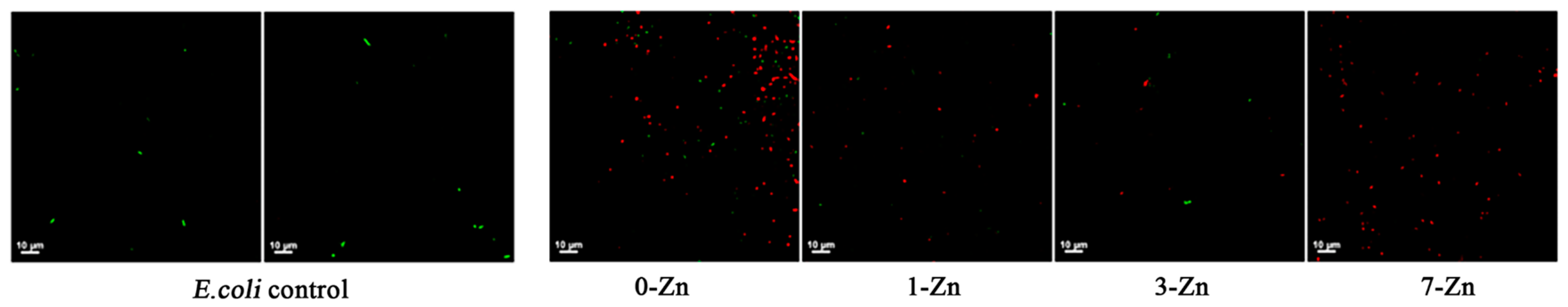 Polymers 16 01039 g016