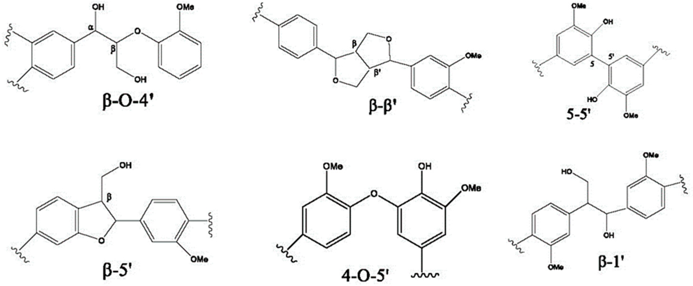 Polymers 16 01059 g001