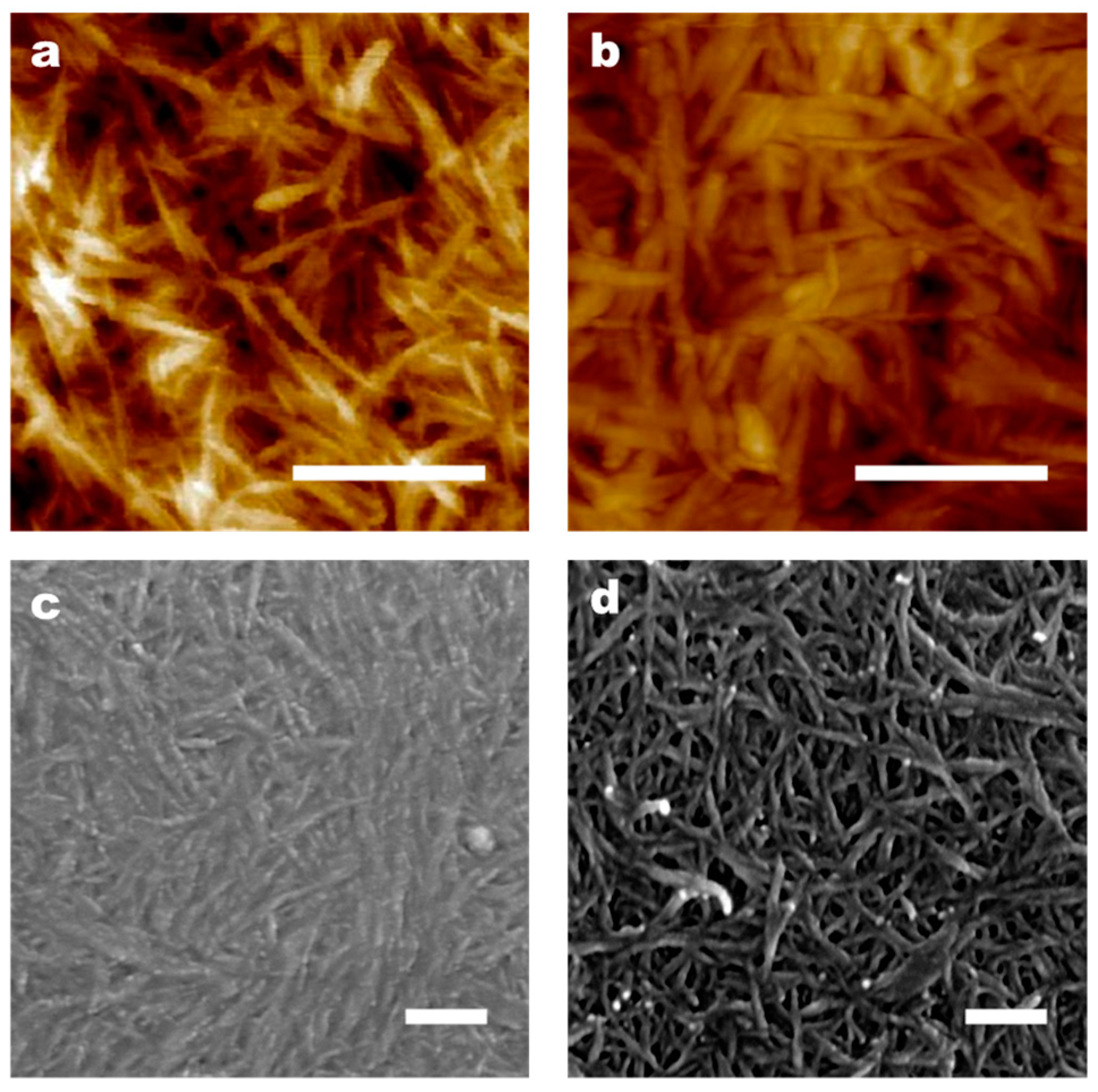 Polymers 16 01060 g004