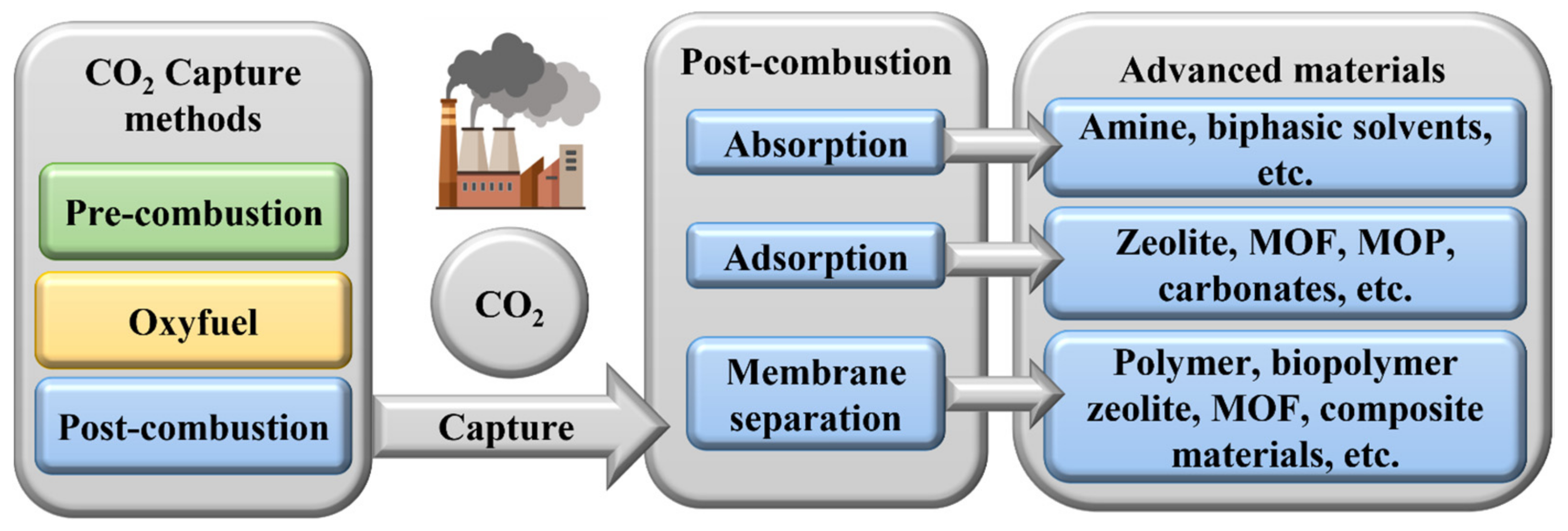 Polymers 16 01063 g002