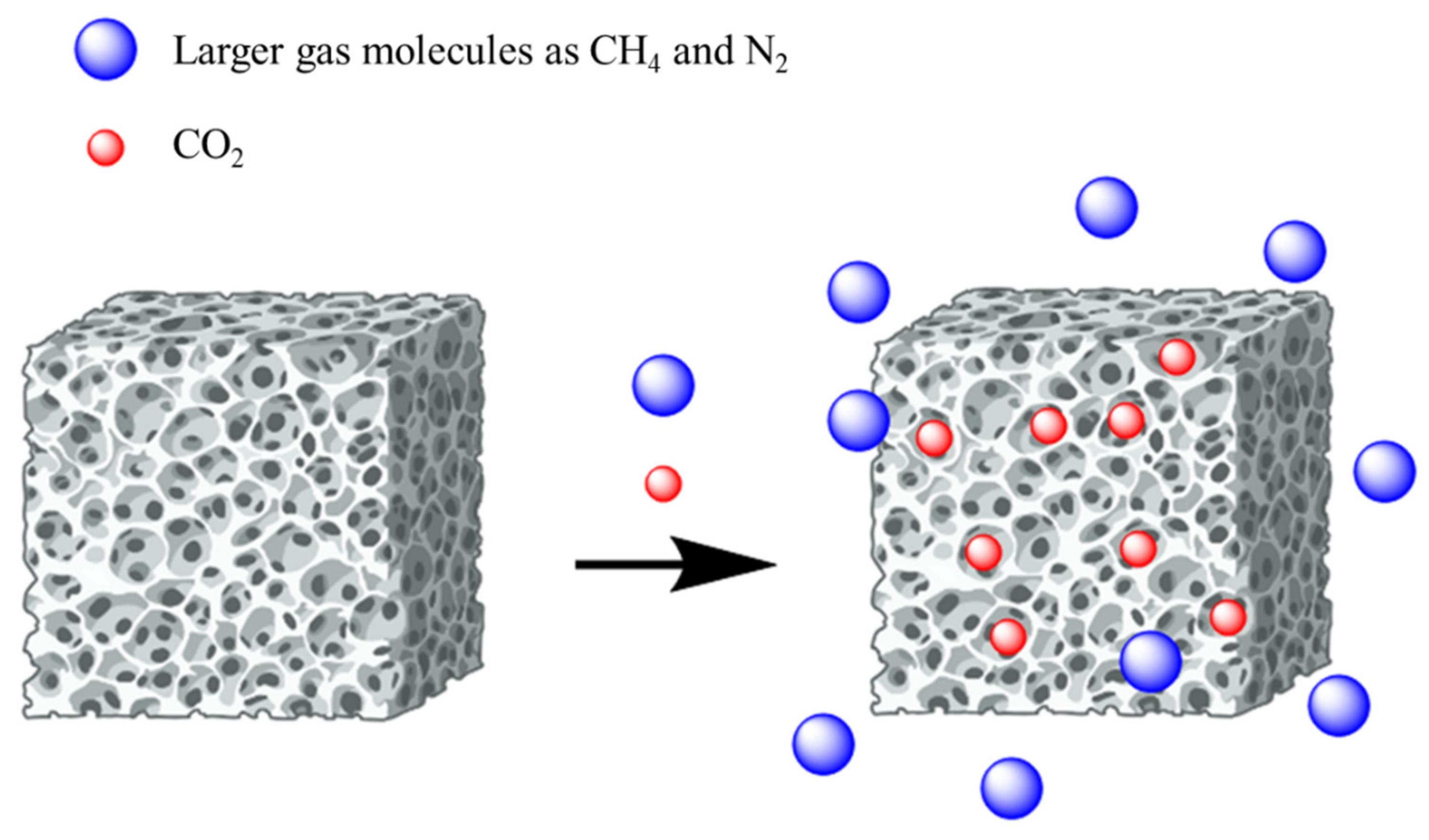 Polymers 16 01063 g003