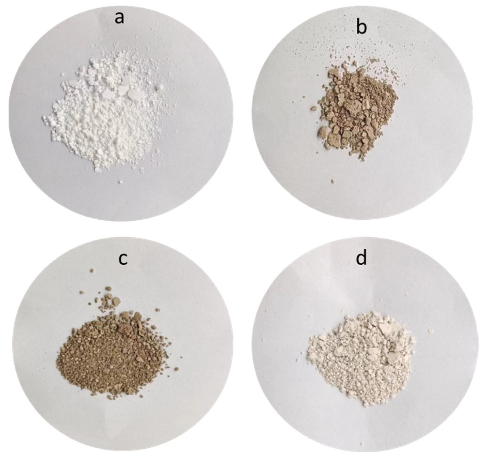 Polymers 16 01069 g002