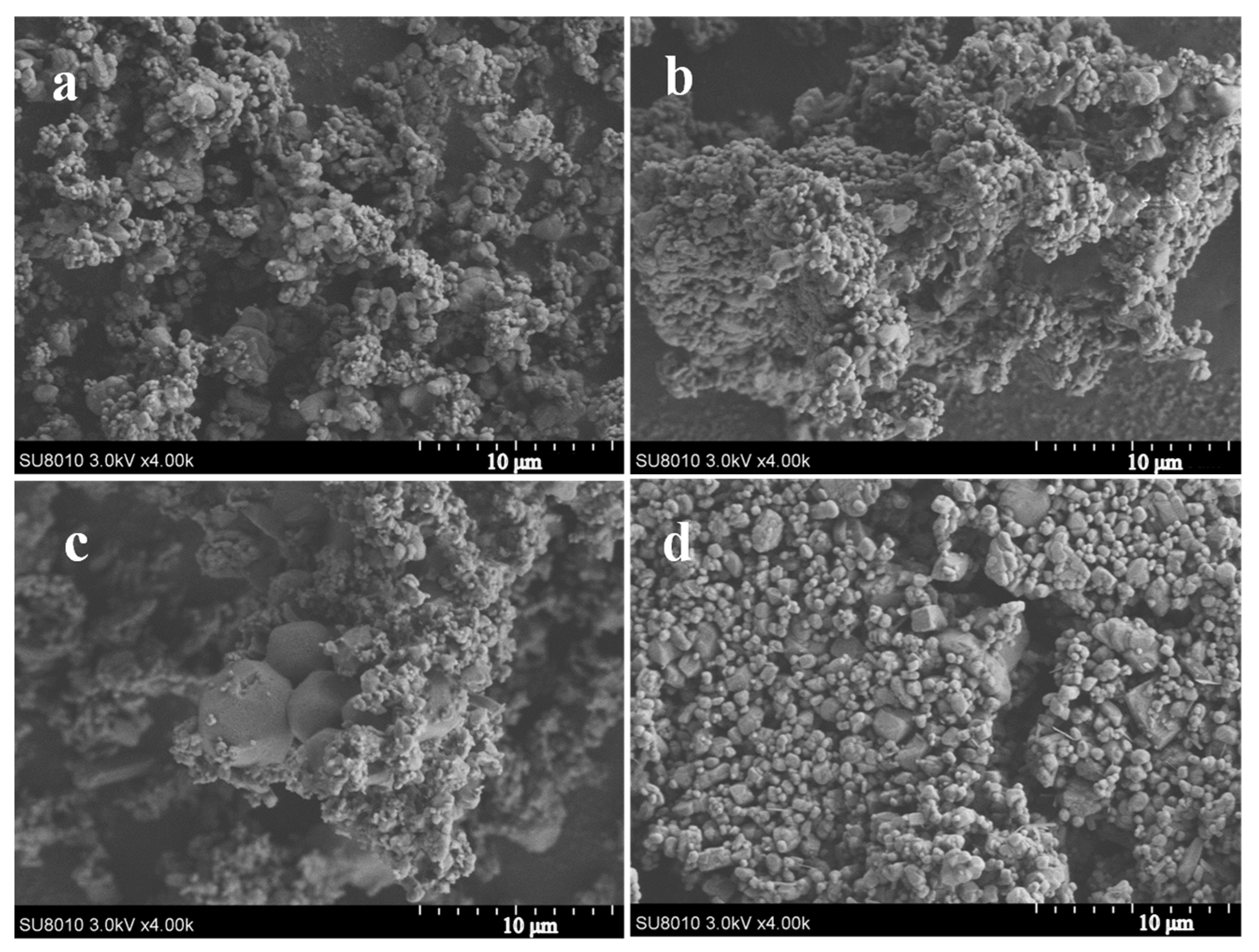 Polymers 16 01069 g005
