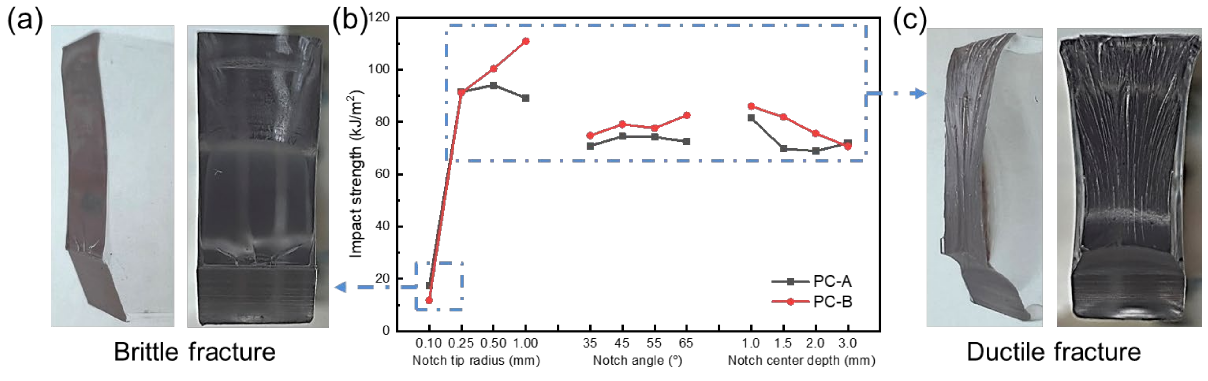 Polymers 16 01072 g003