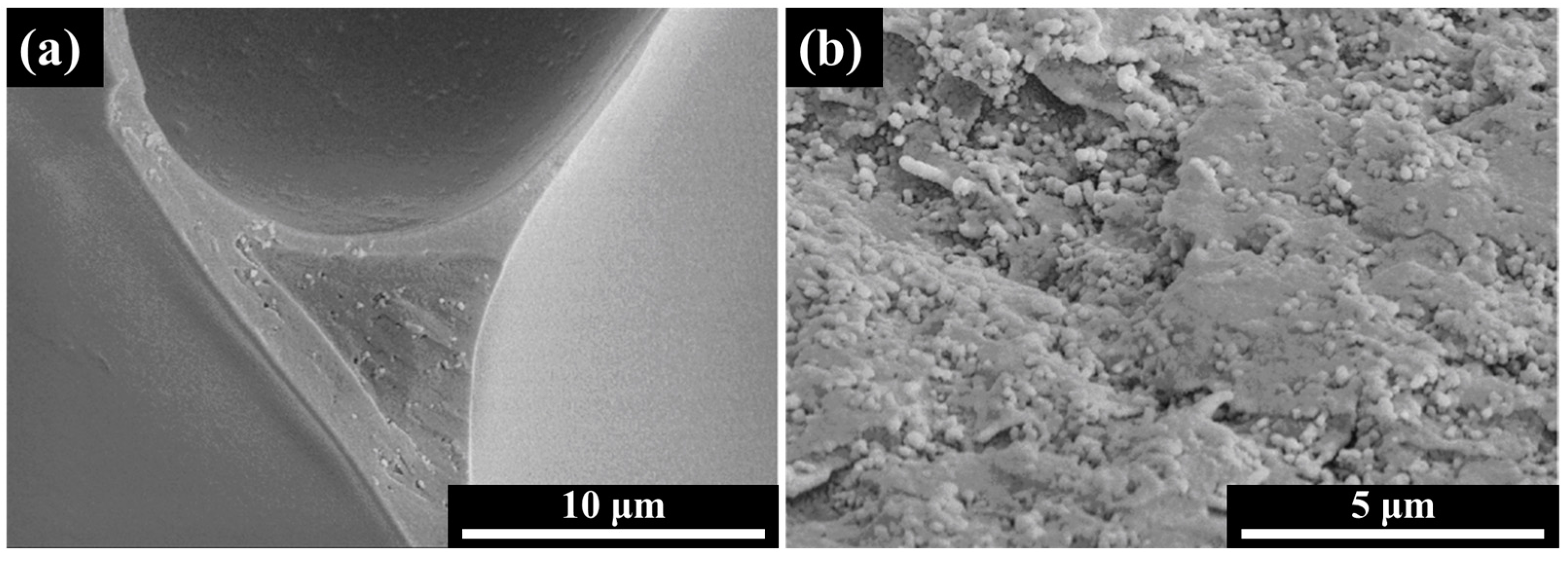 Polymers 16 01074 g004