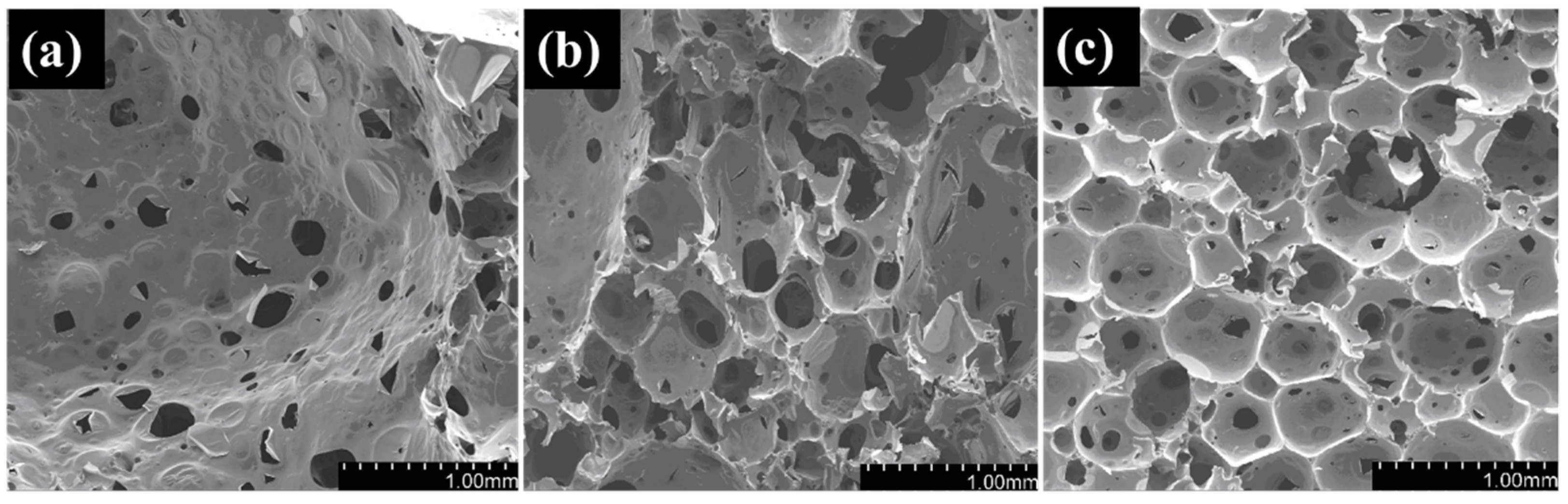 Polymers 16 01074 g010