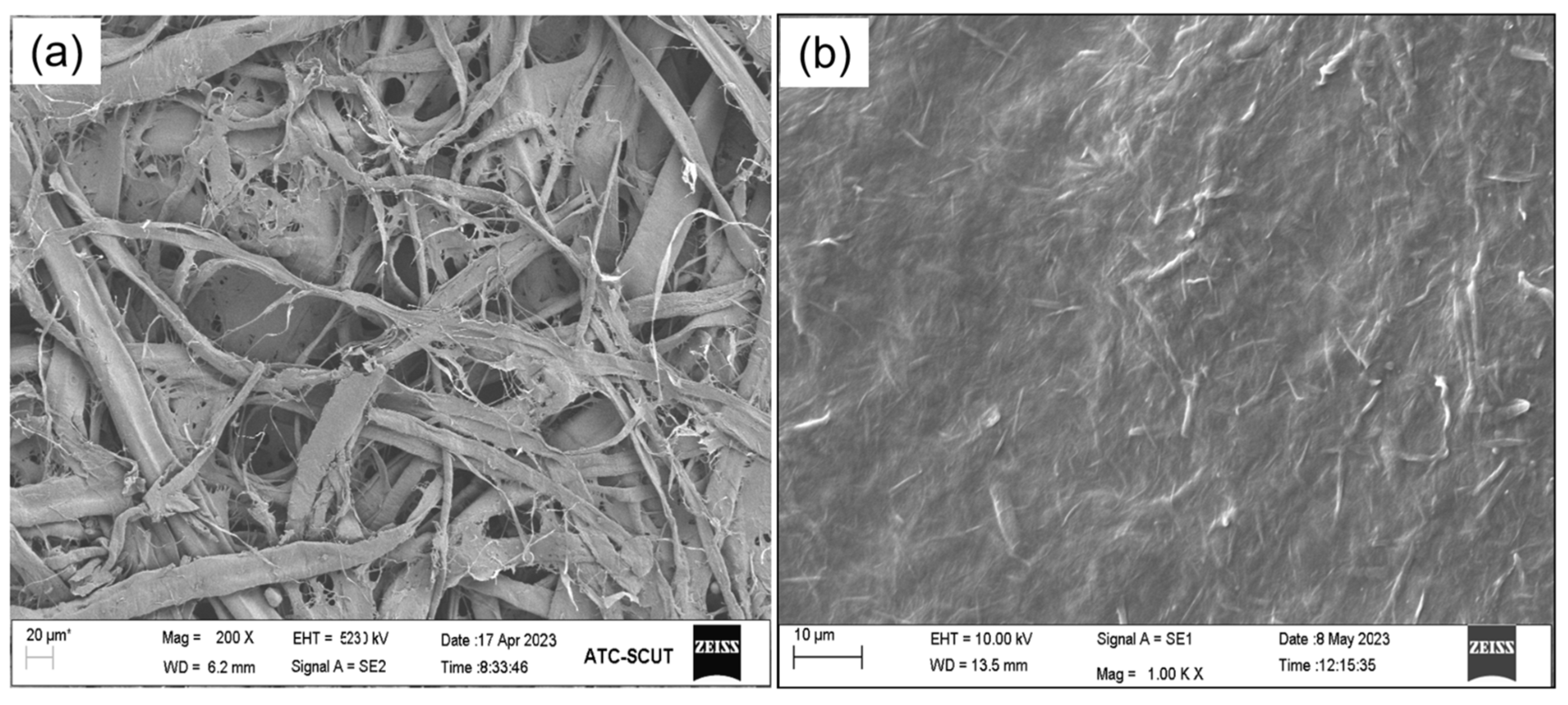 Polymers 16 01078 g005