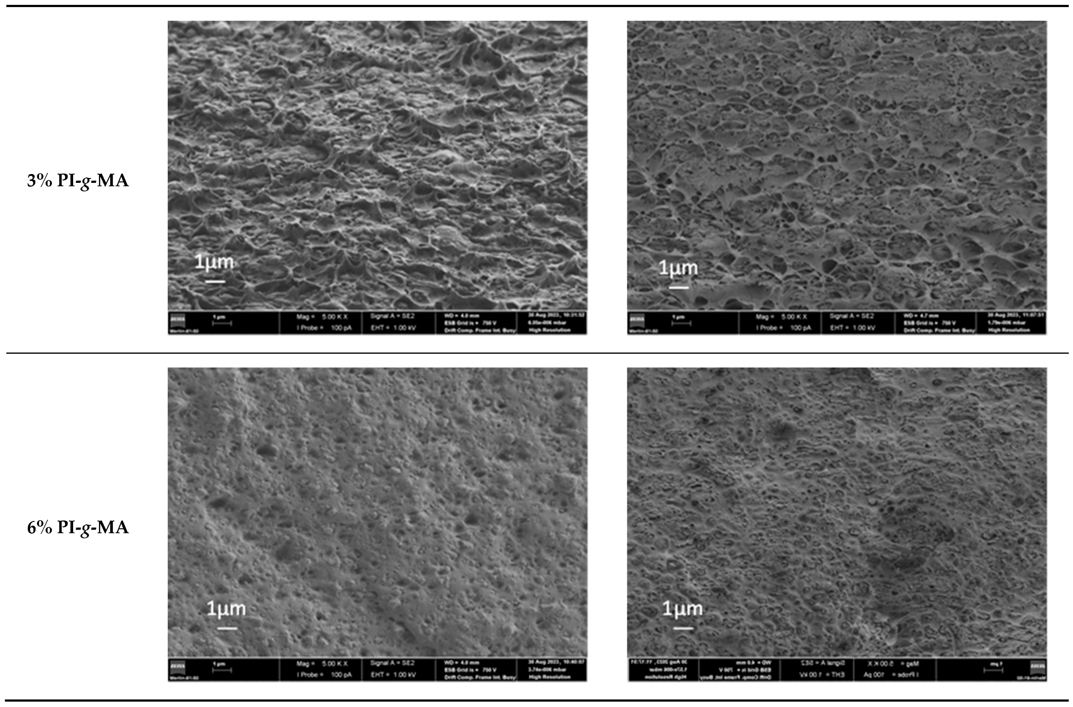 Polymers 16 01079 g006b Polymers 16 01079 g006b