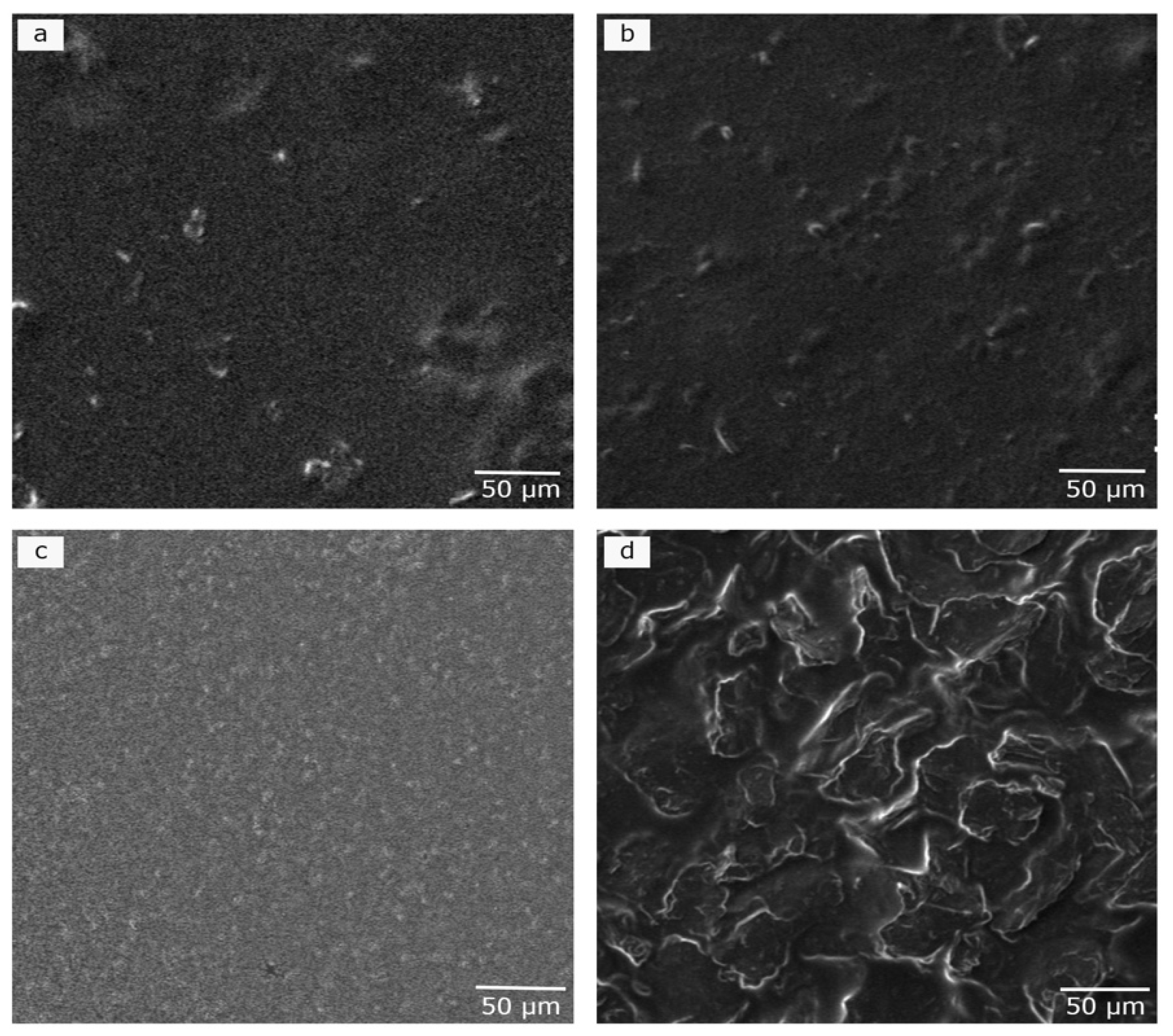 Polymers 16 01081 g002