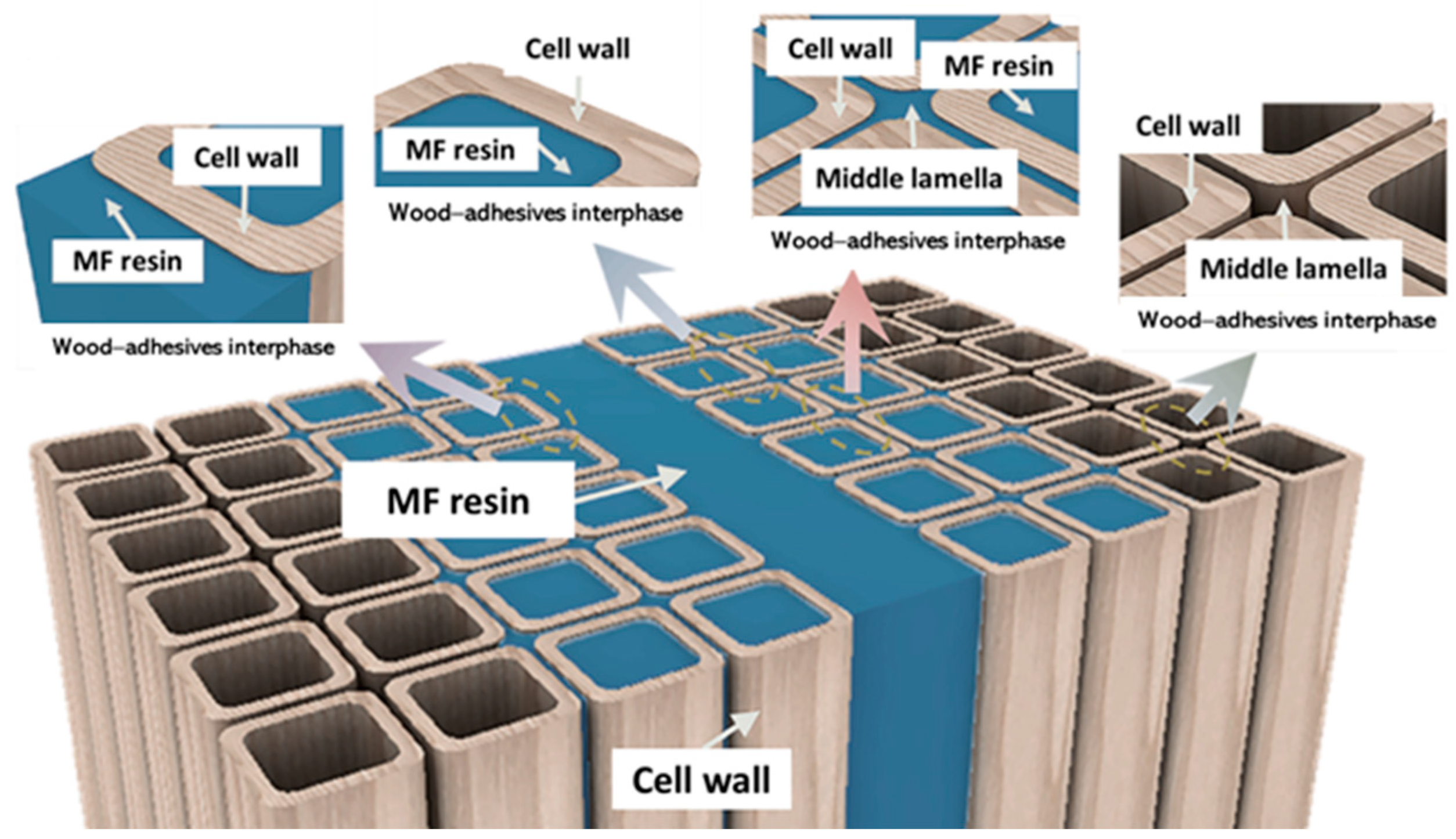 Polymers 16 01084 g007 Polymers 16 01084 g007
