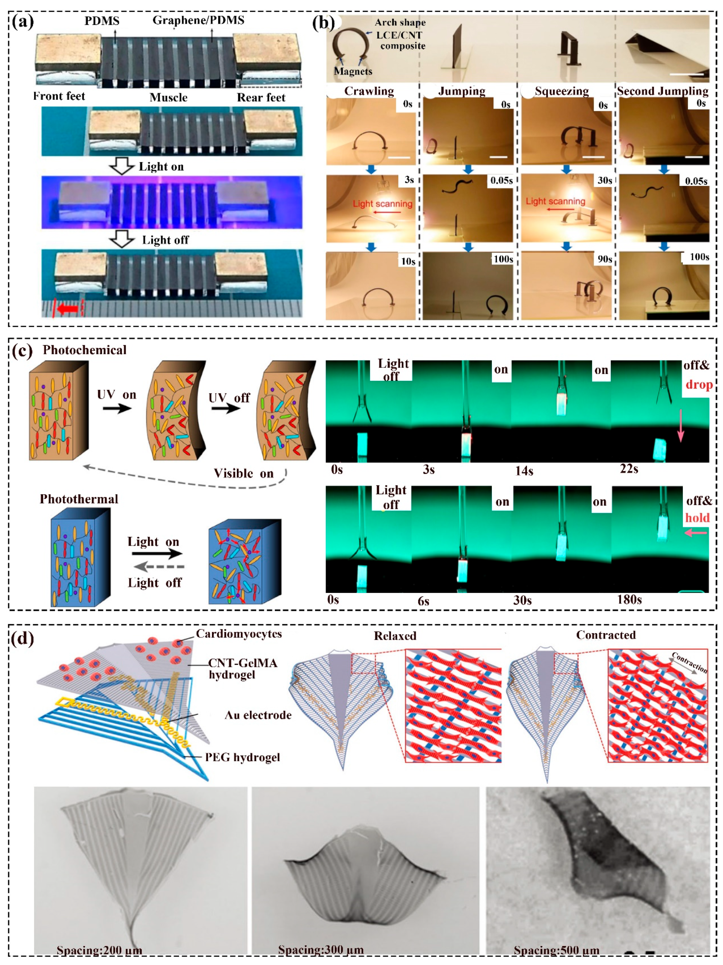 Polymers 16 01087 g005