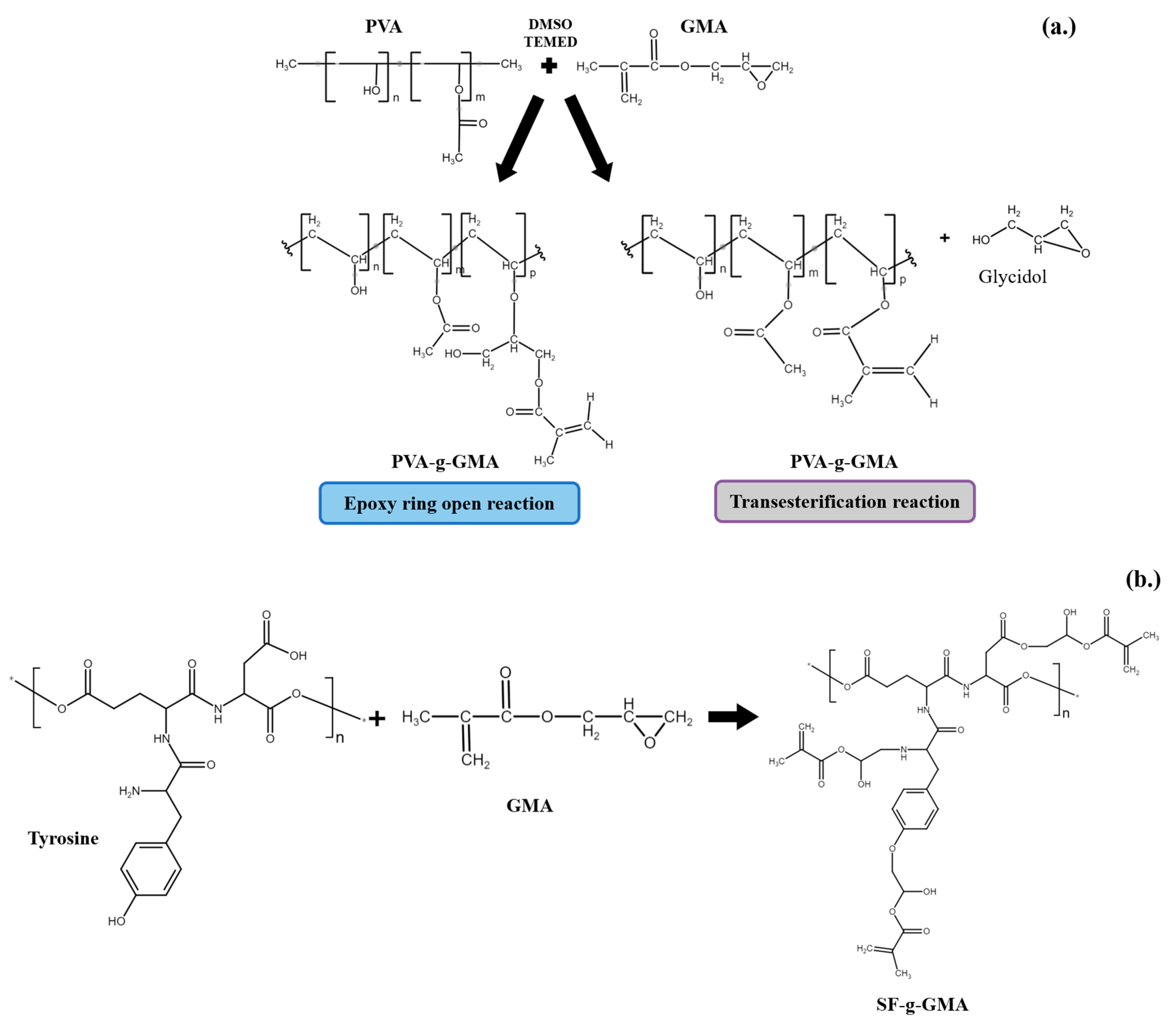 Polymers 16 01093 g001a