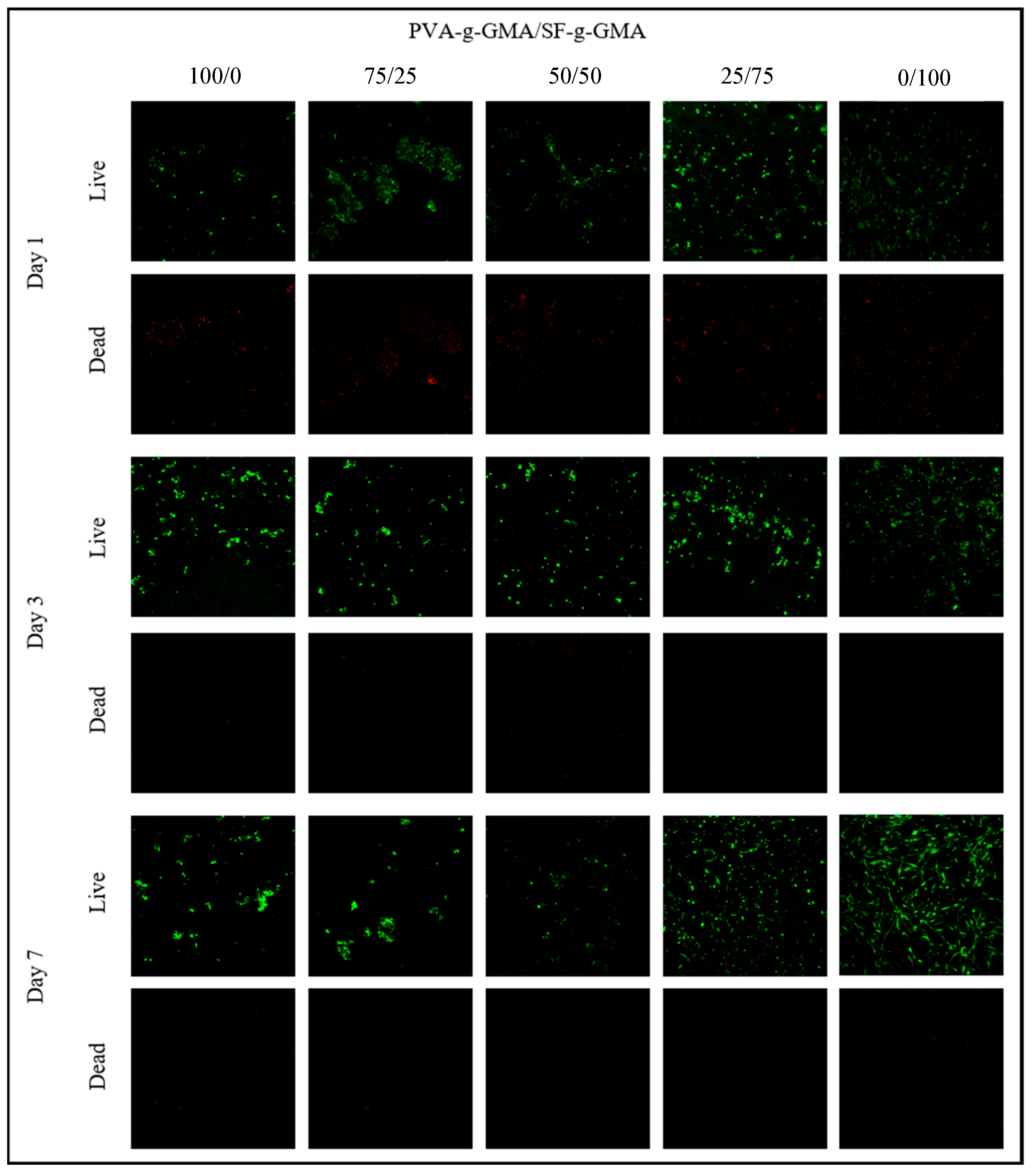 Polymers 16 01093 g010