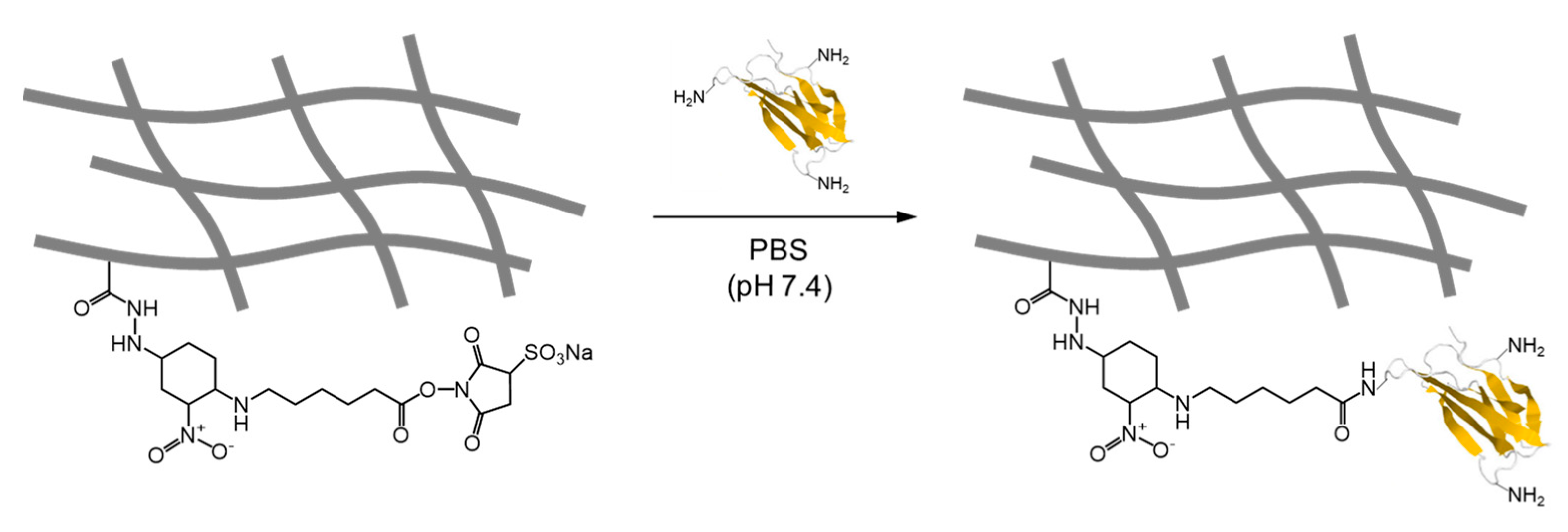 Polymers 16 01100 g005 Polymers 16 01100 g005