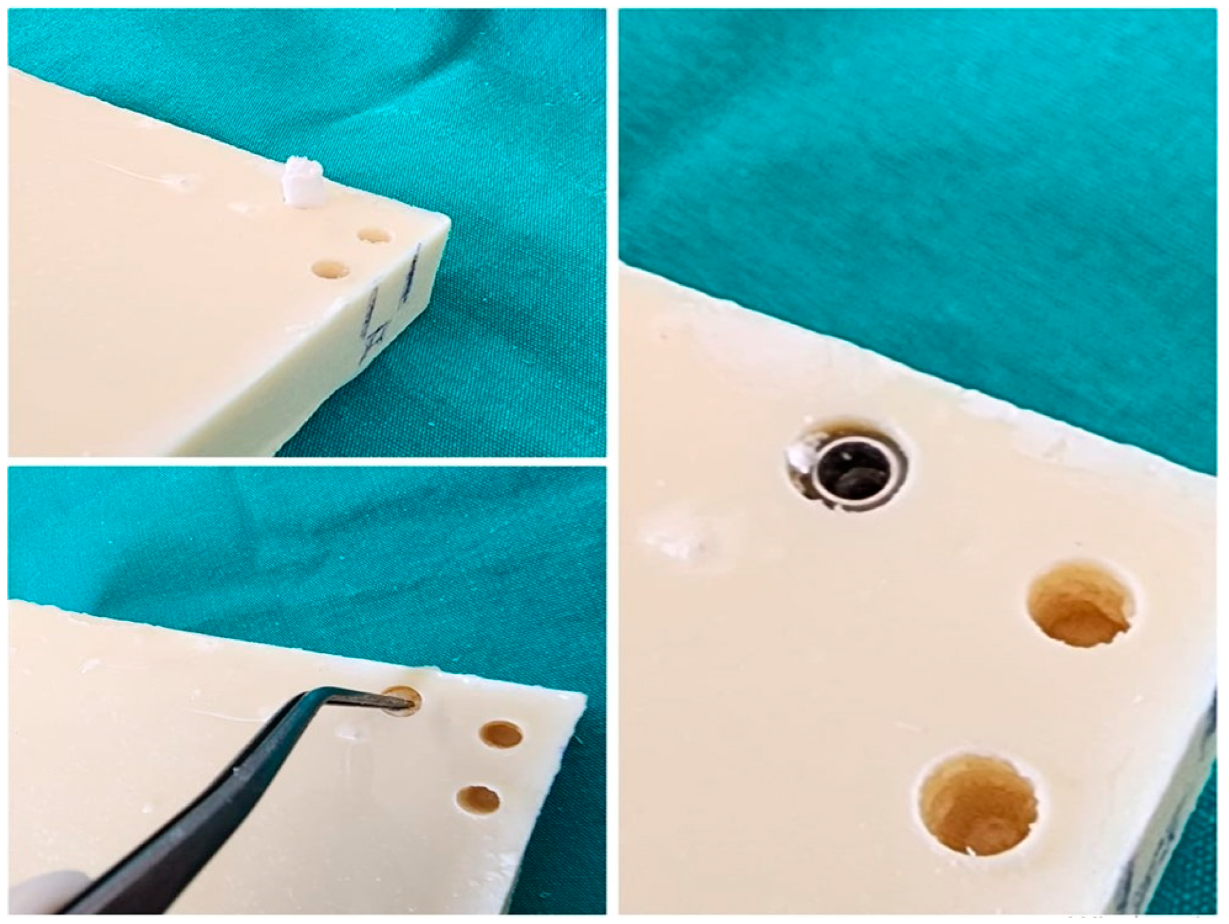 Polymers 16 01101 g003