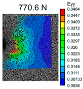 Polymers 16 01106 i002