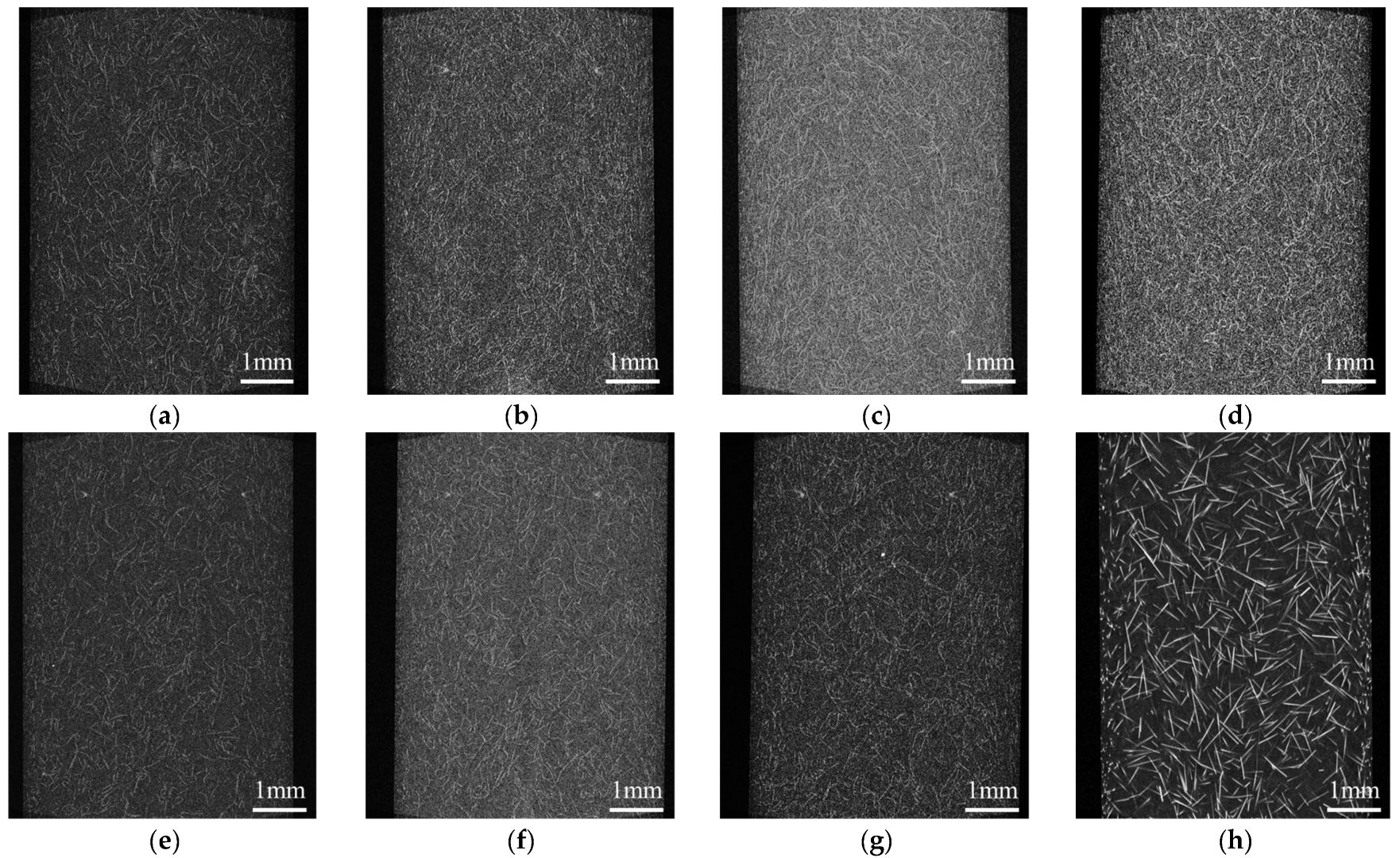 Polymers 16 01110 g015