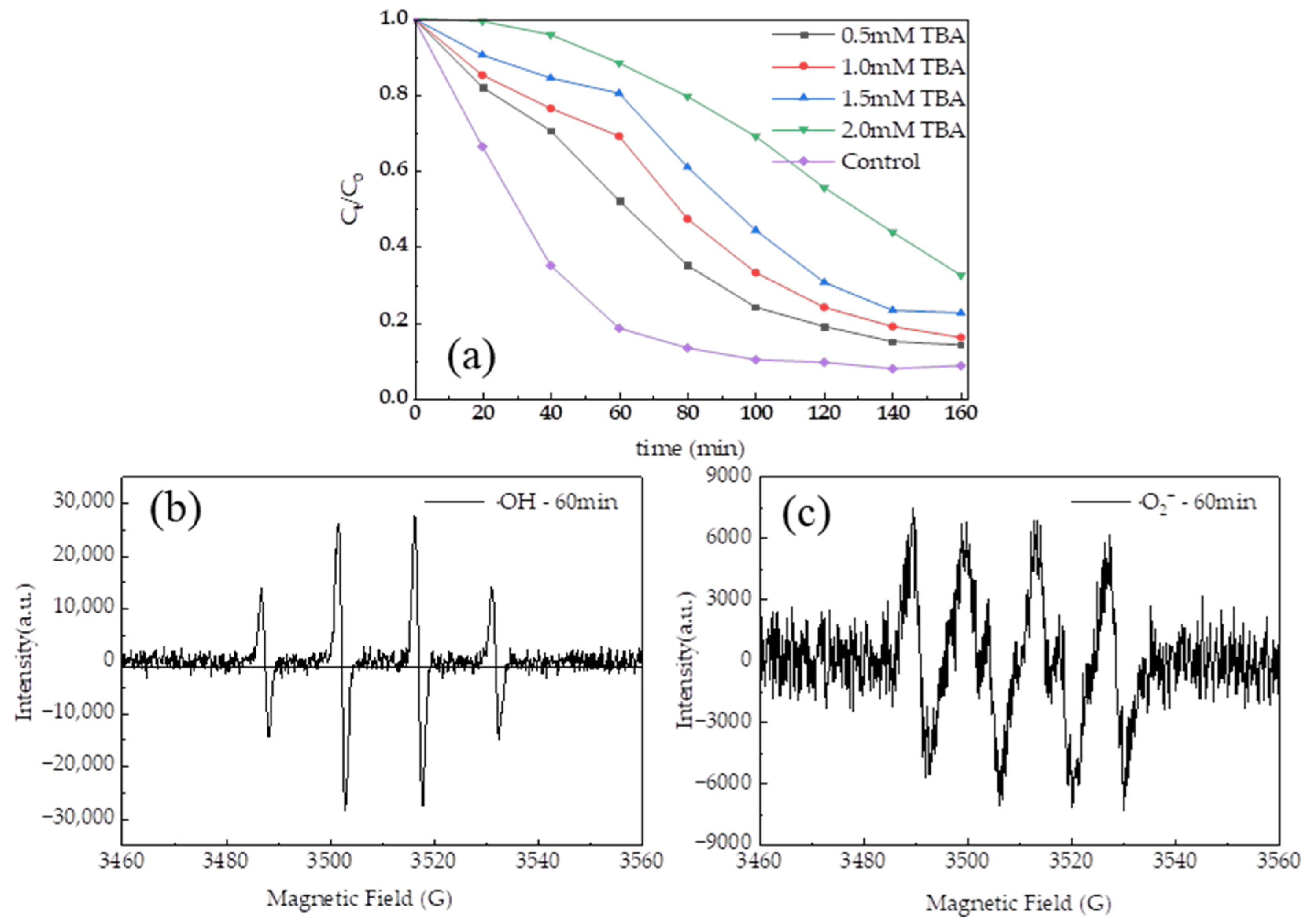 Polymers 16 01115 g008