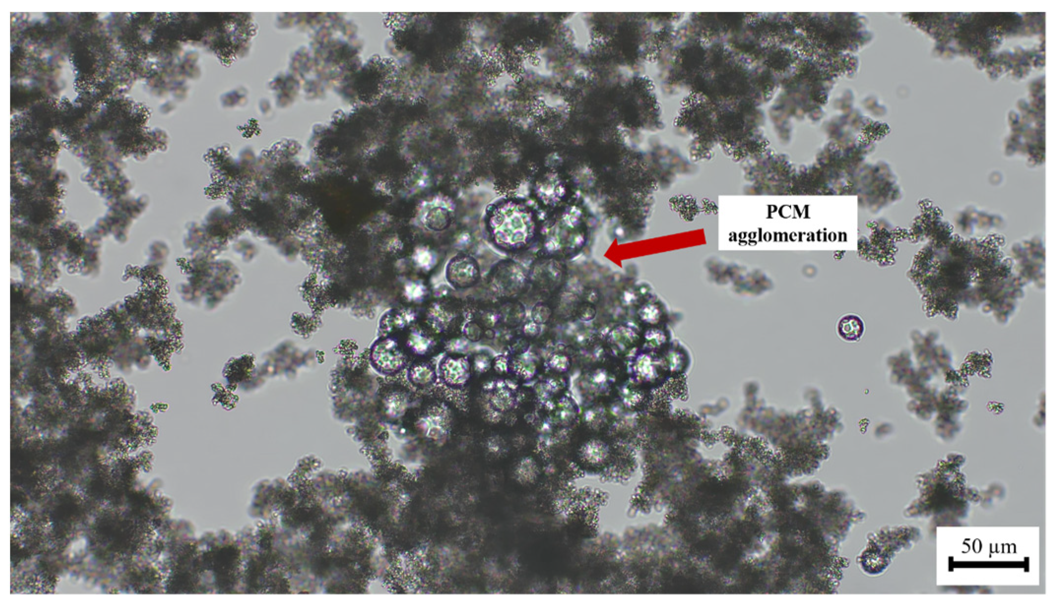 Polymers 16 01121 g010