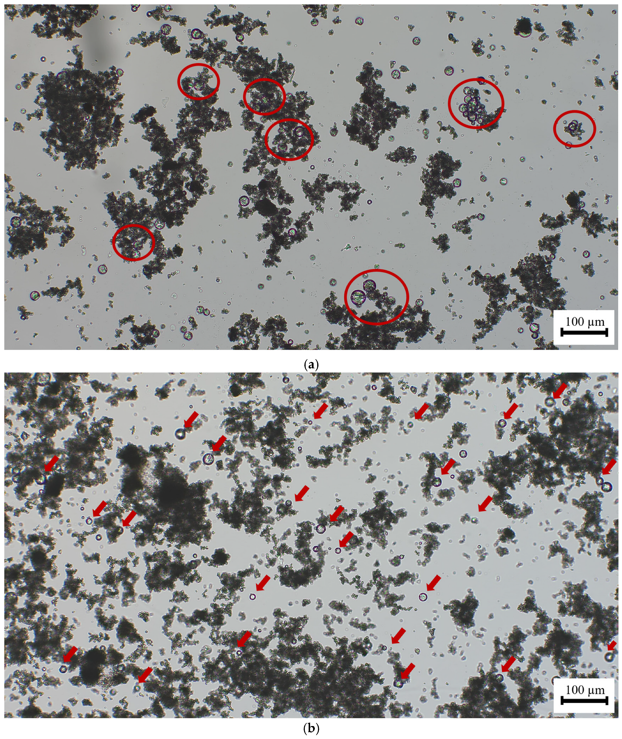 Polymers 16 01121 g012