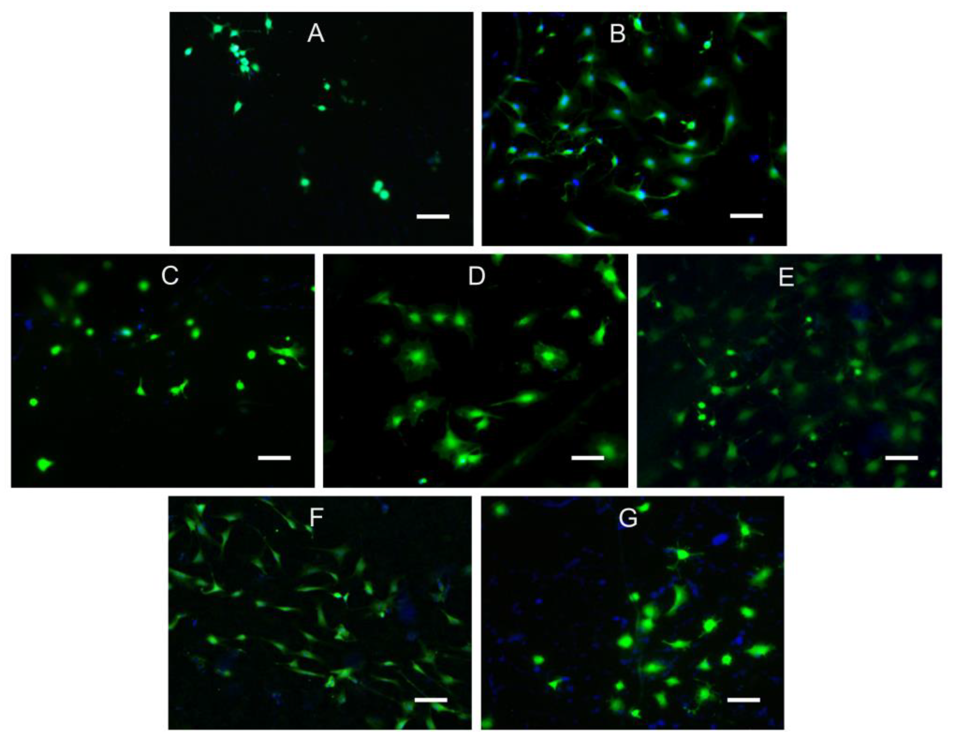 Polymers 16 01124 g002