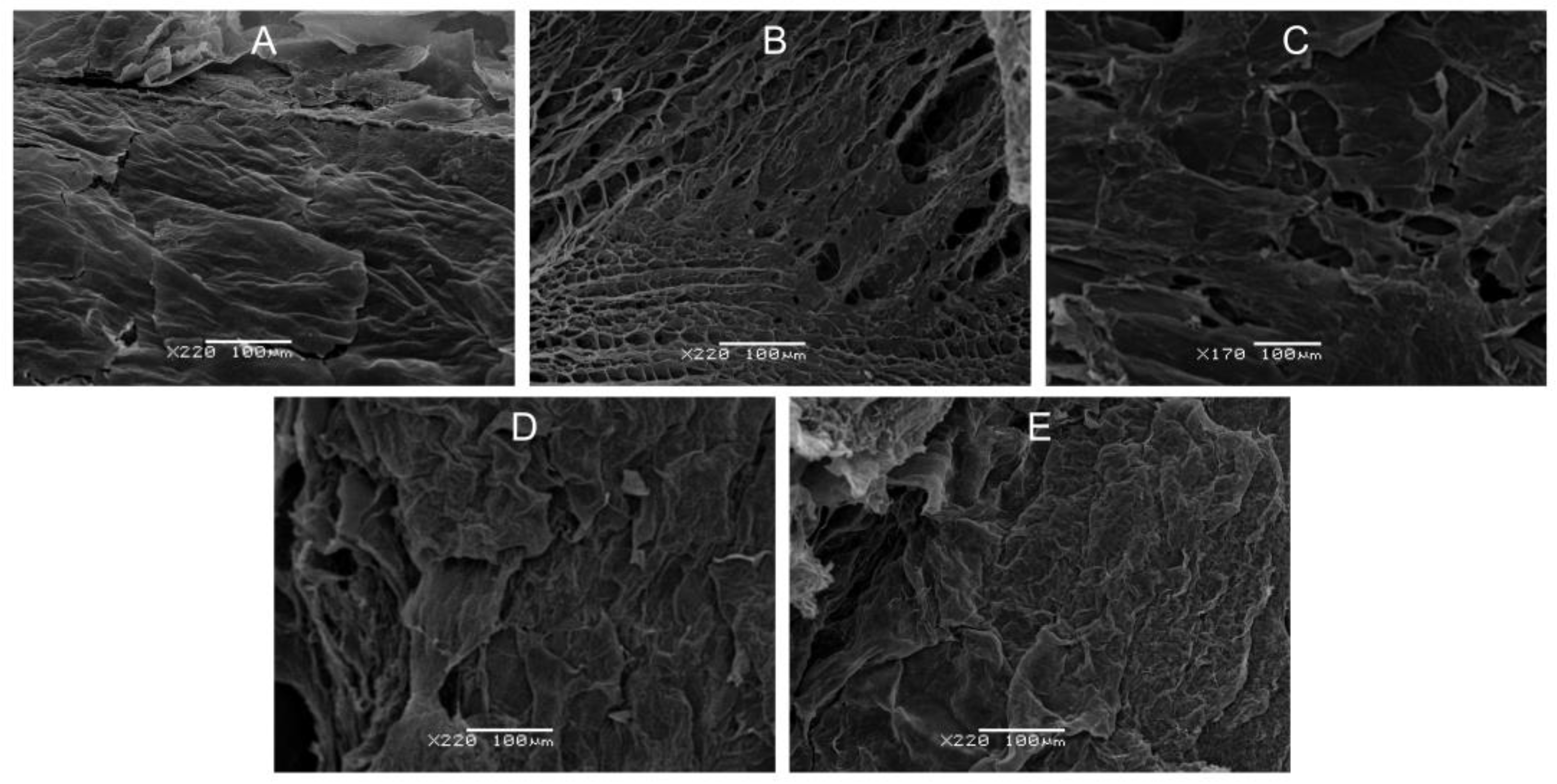 Polymers 16 01124 g004