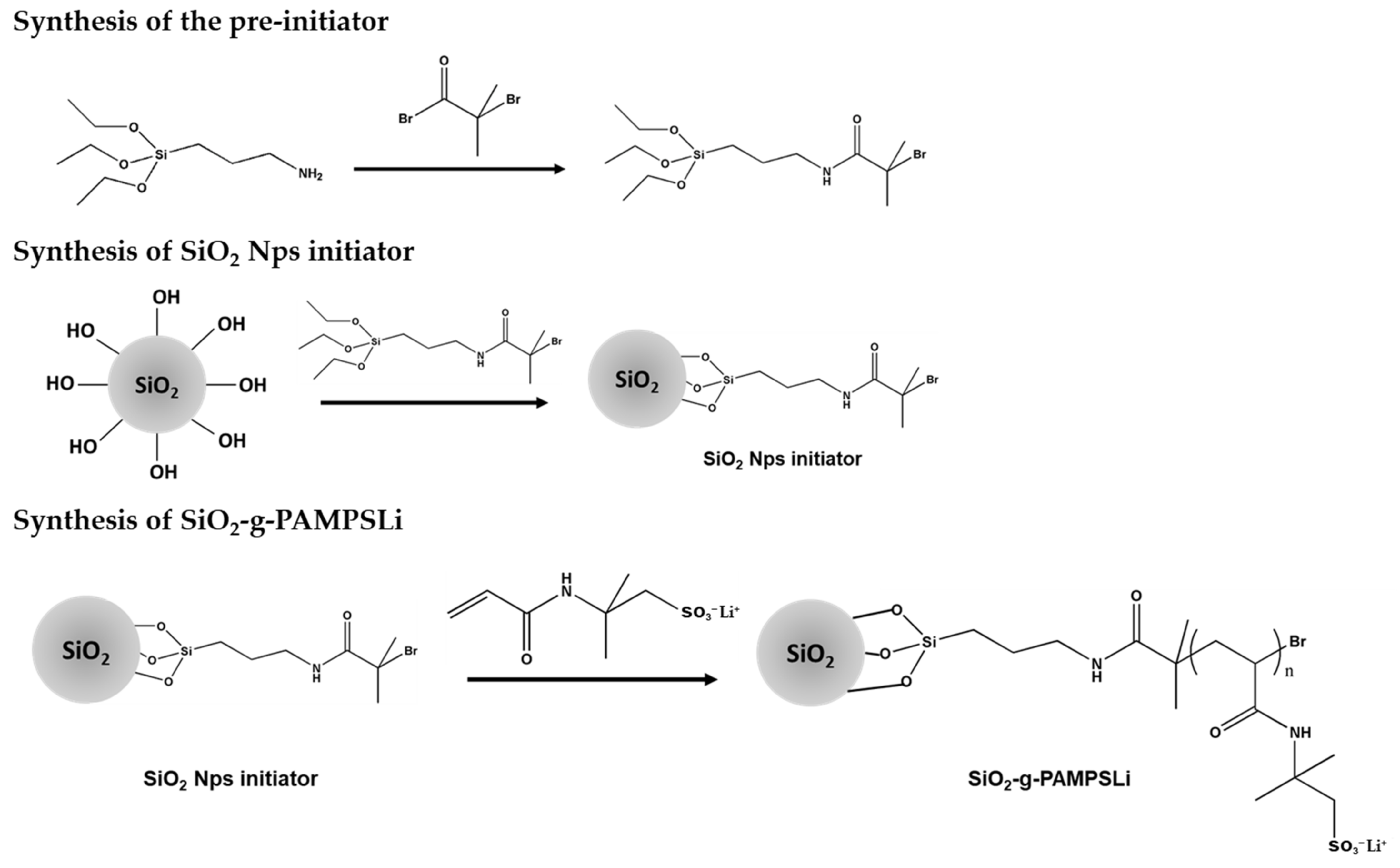 Polymers 16 01128 g001