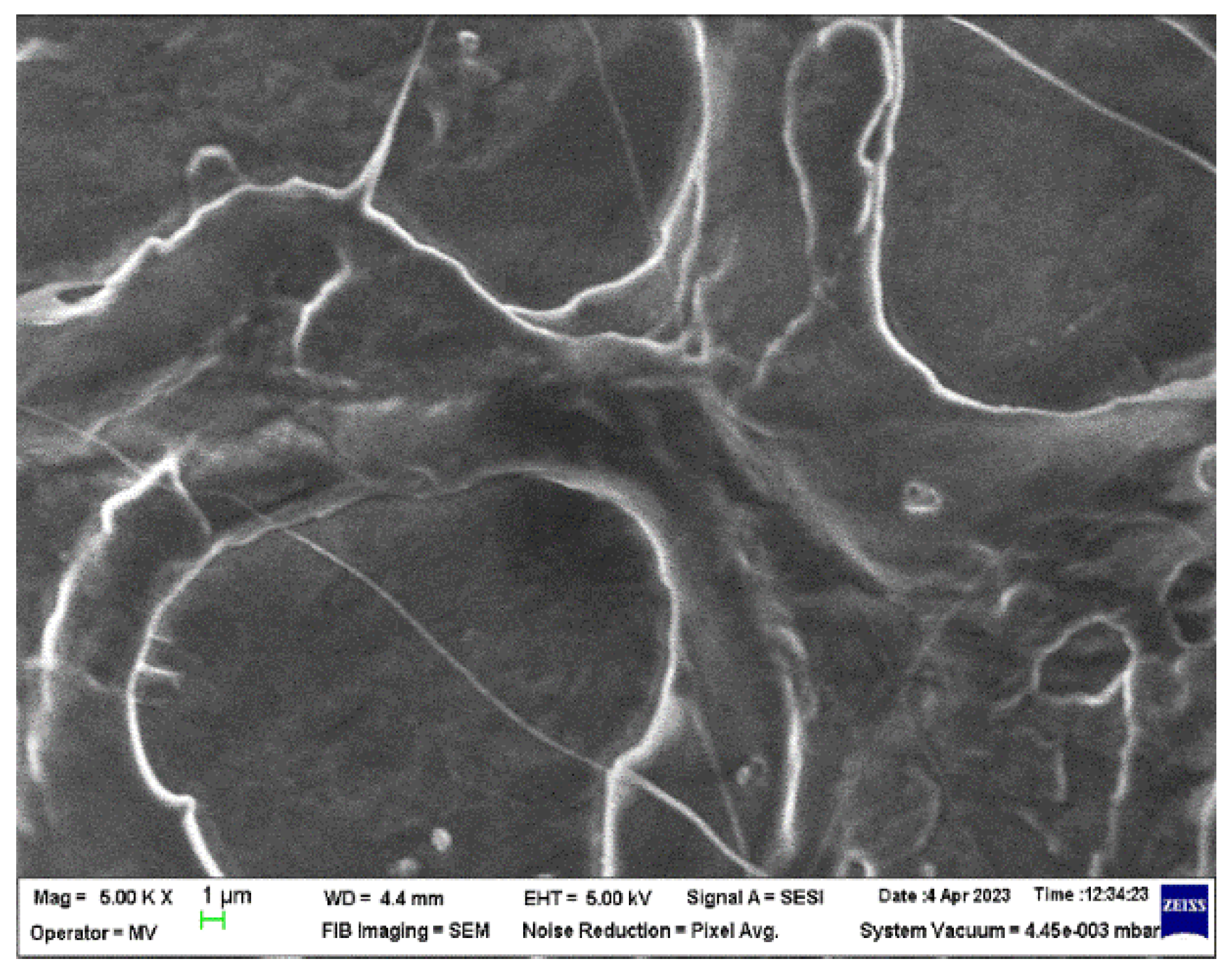 Polymers 16 01129 g004