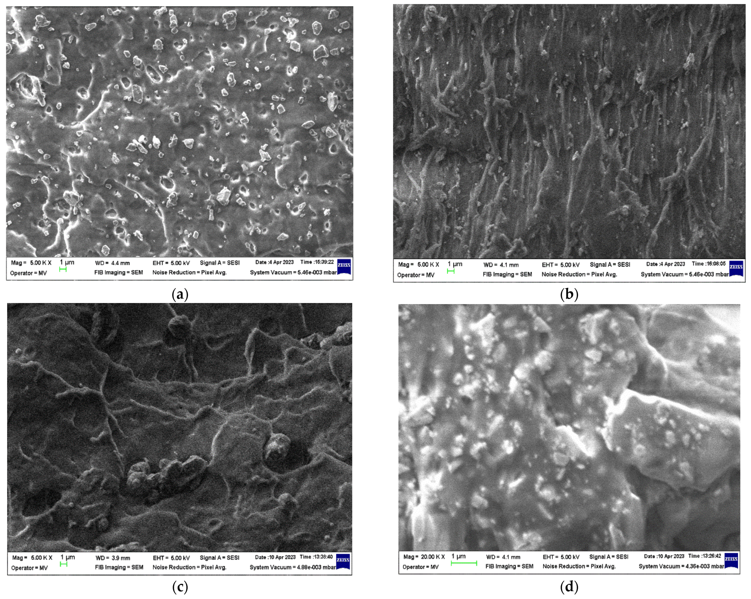 Polymers 16 01129 g005