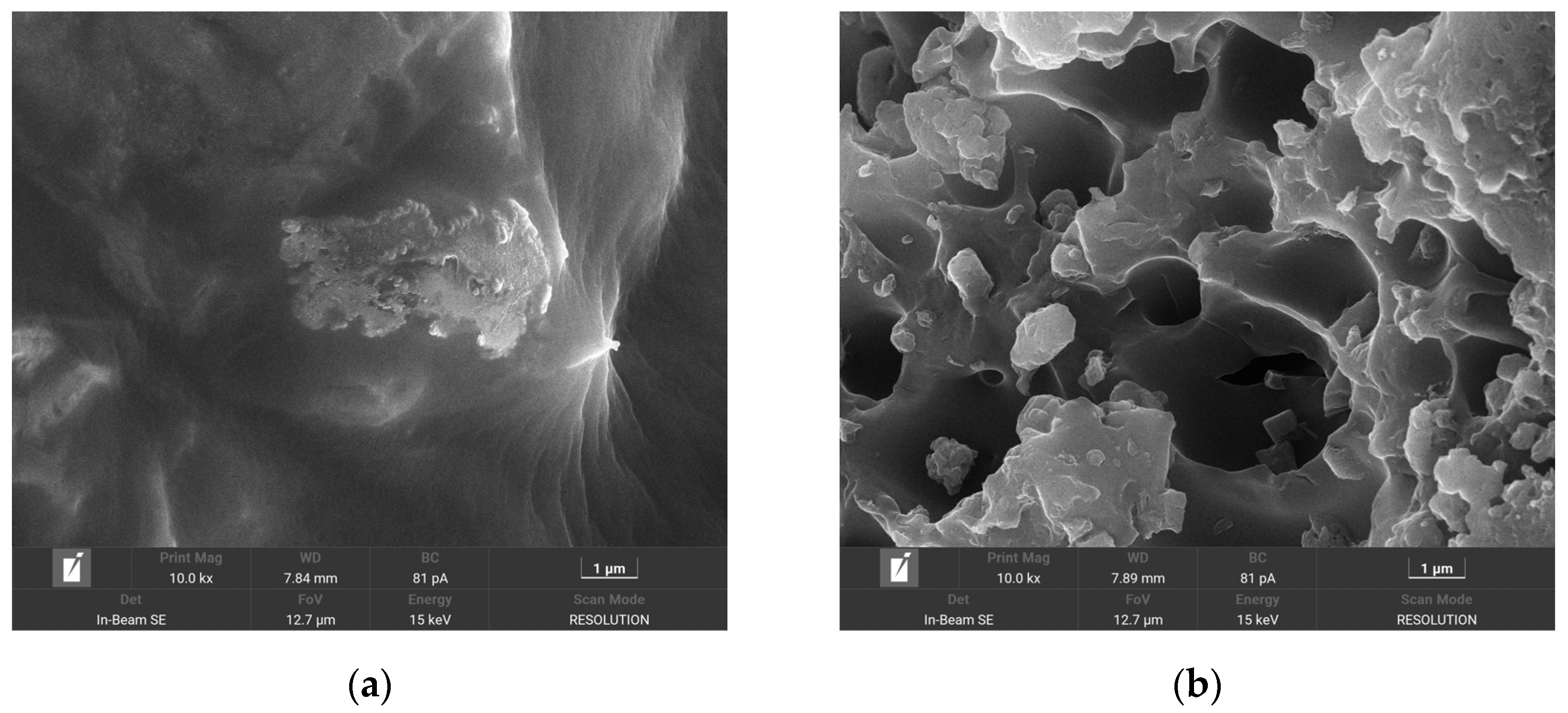 Polymers 16 01131 g005