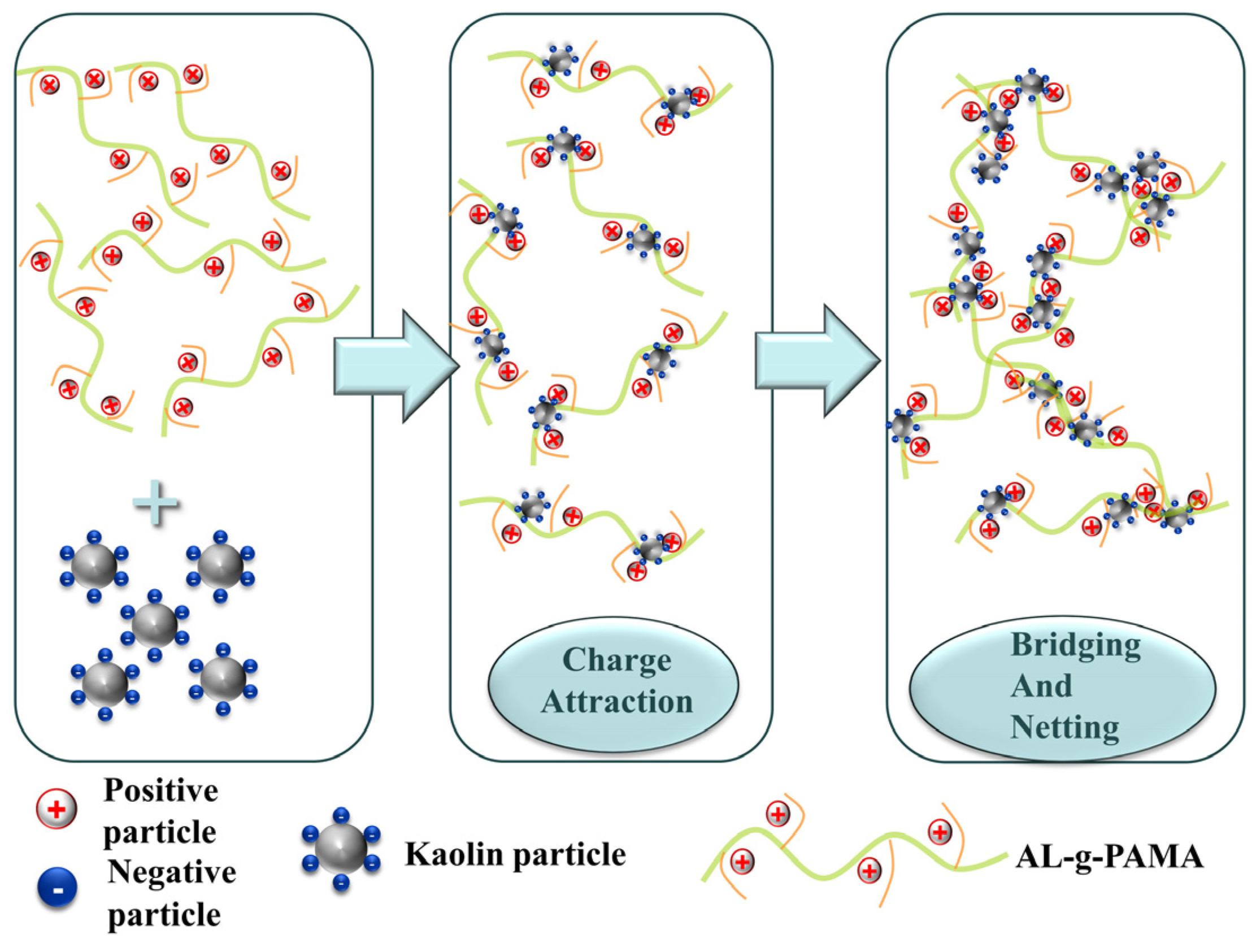 Polymers 16 01131 g012