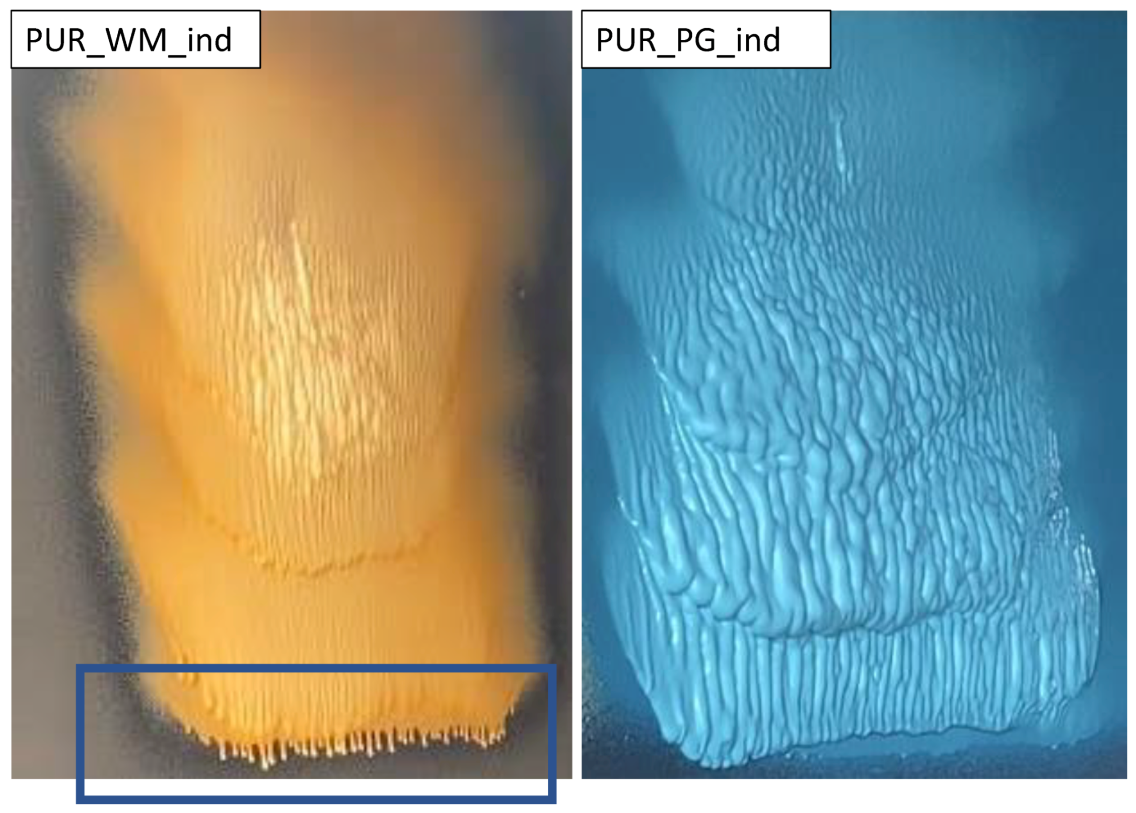 Polymers 16 01145 g008