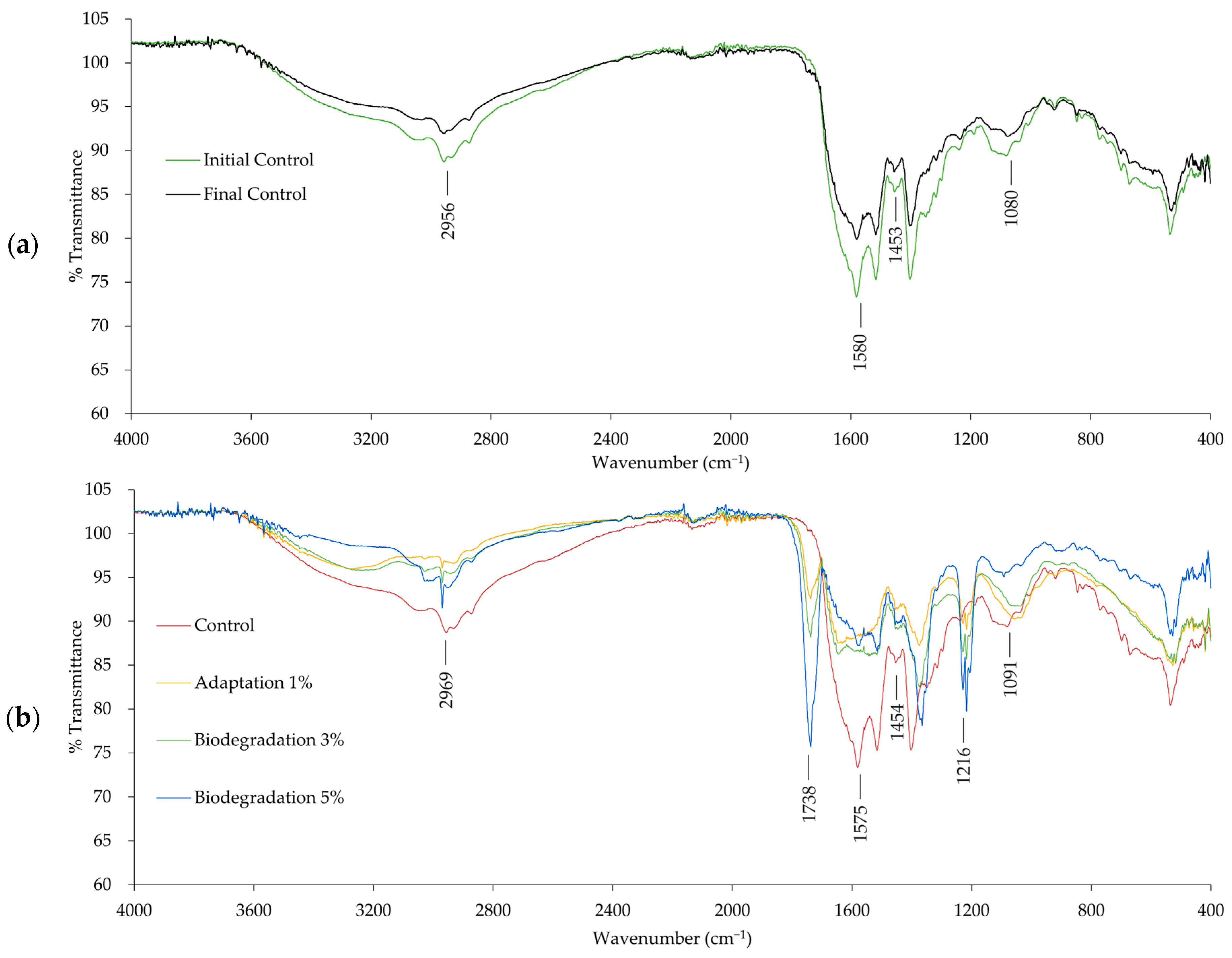 Polymers 16 01162 g005 Polymers 16 01162 g005